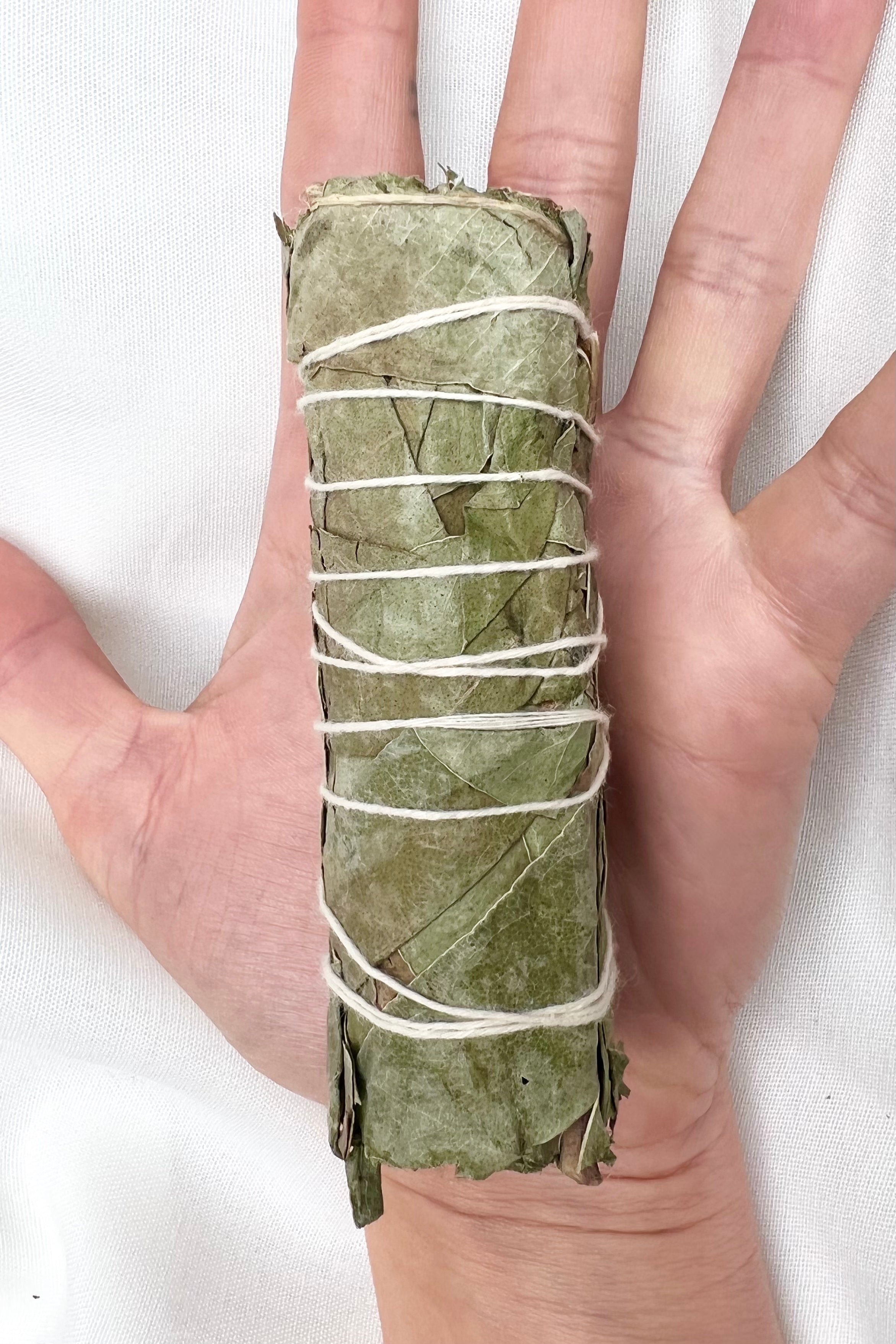 SANSEUDVIDELSE - Røgelse