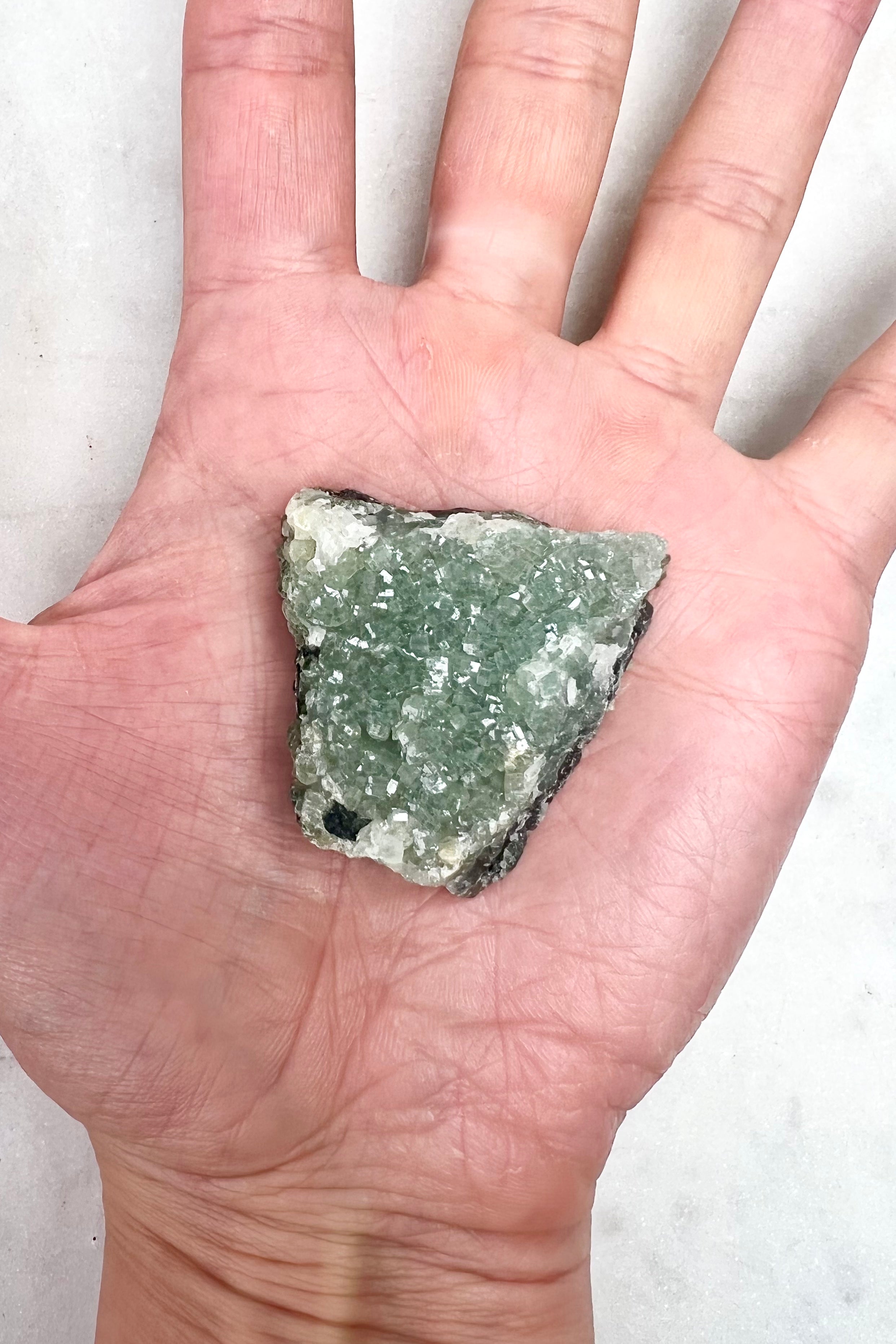 LYSETS HVISKEN - Krystal