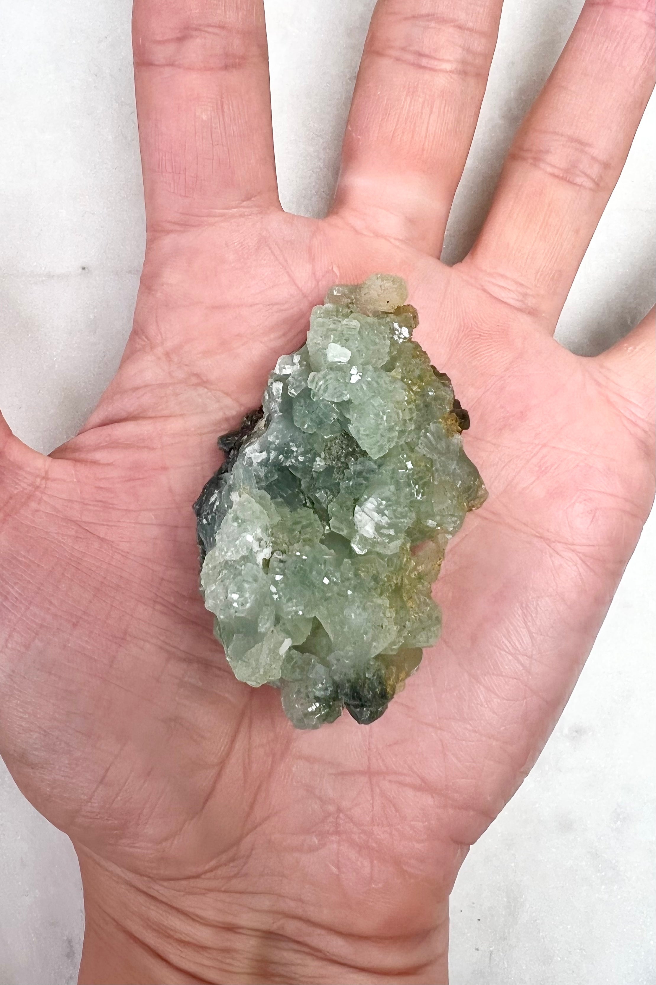 LYSETS HVISKEN - Krystal