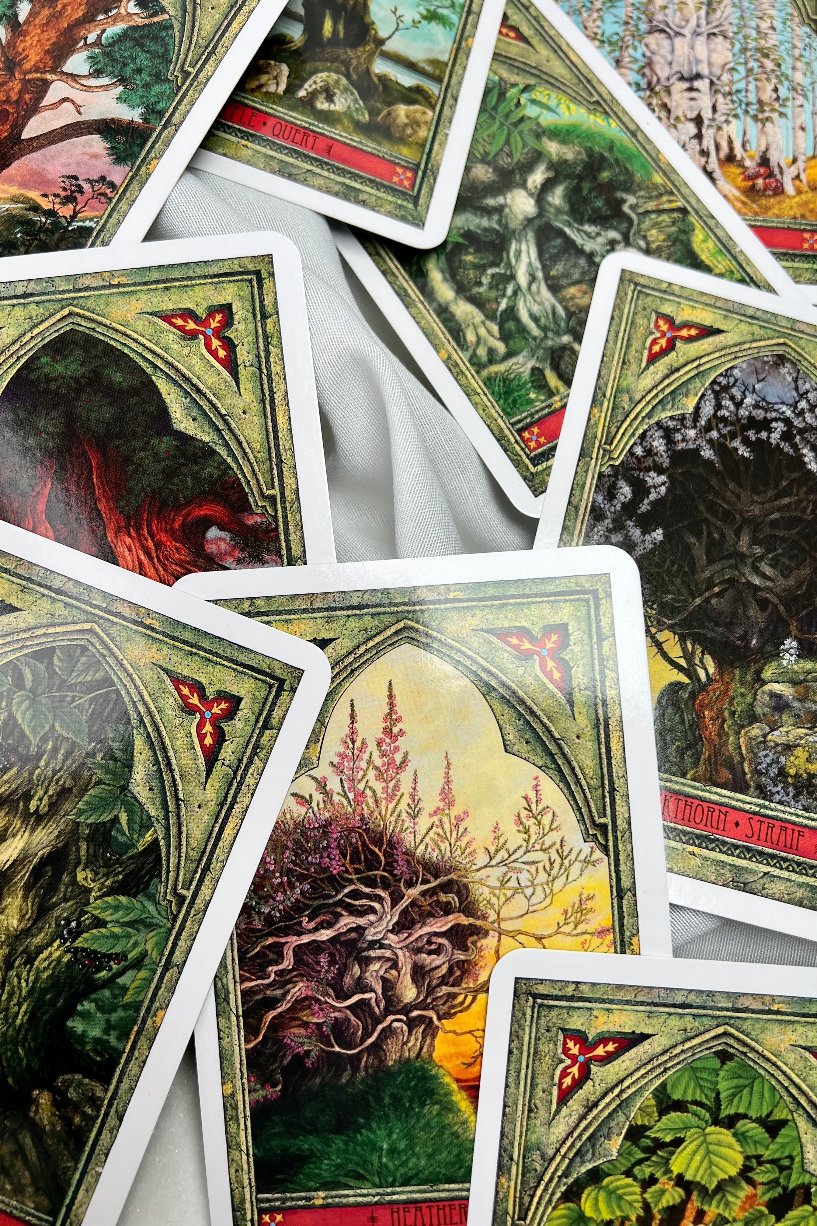 DIN SJÆLS RØDDER - KORT