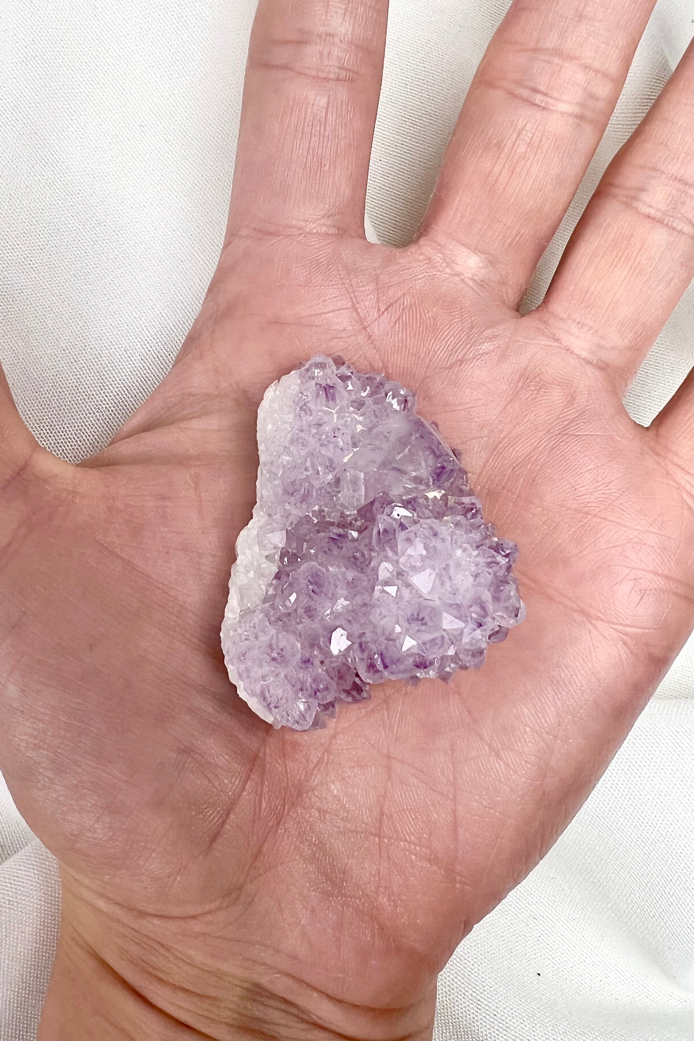 MAGIC STAR SEED - Krystal