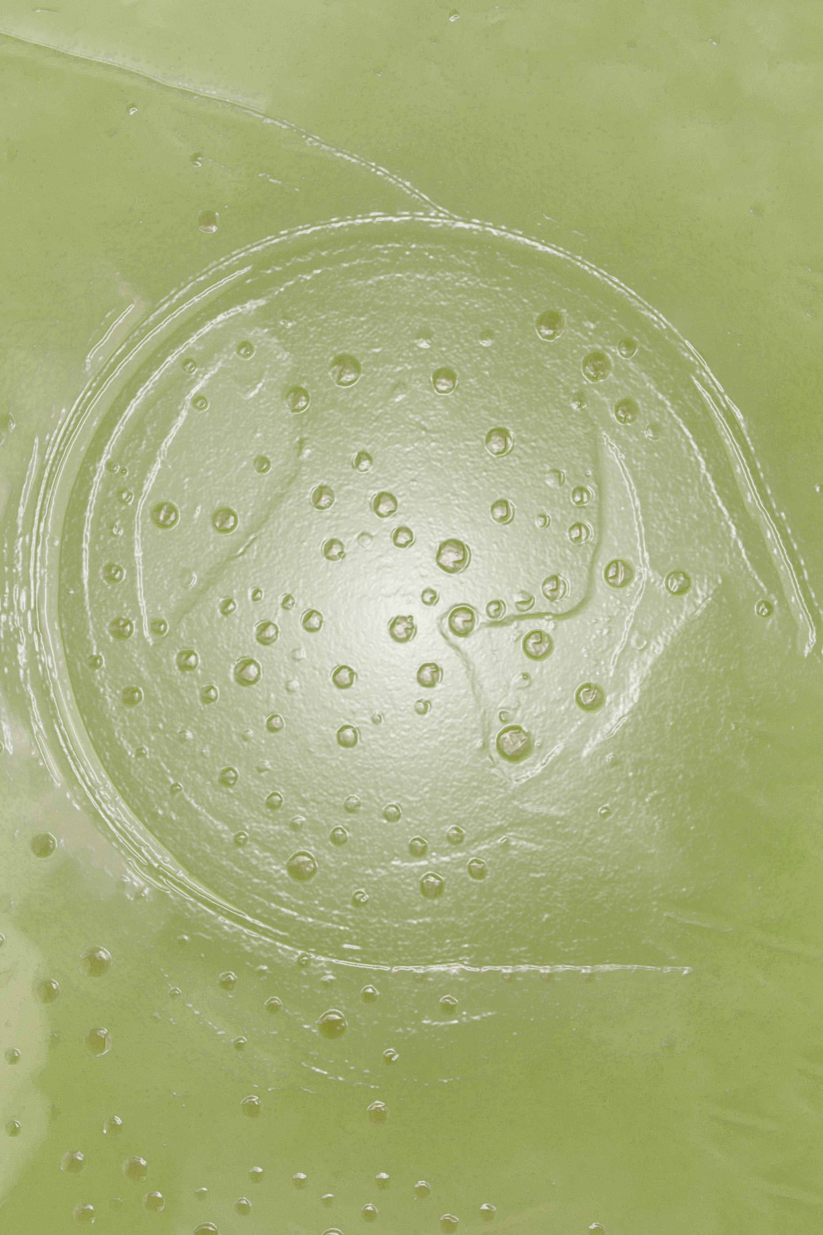 HEALING AF PSYKISK SMERTE - Olie