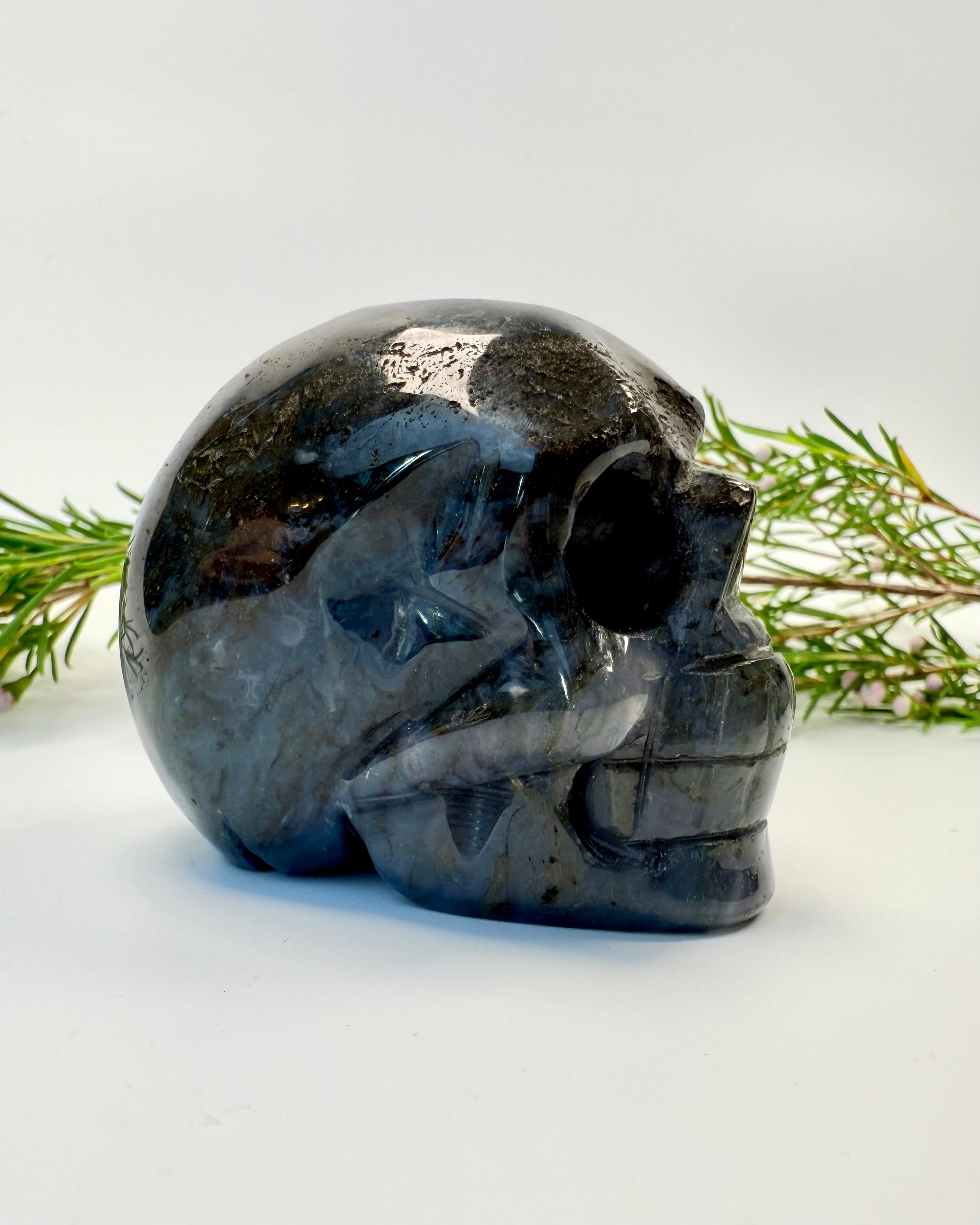 NYT LIV, NYE VALG - KRANIE - UNIKA