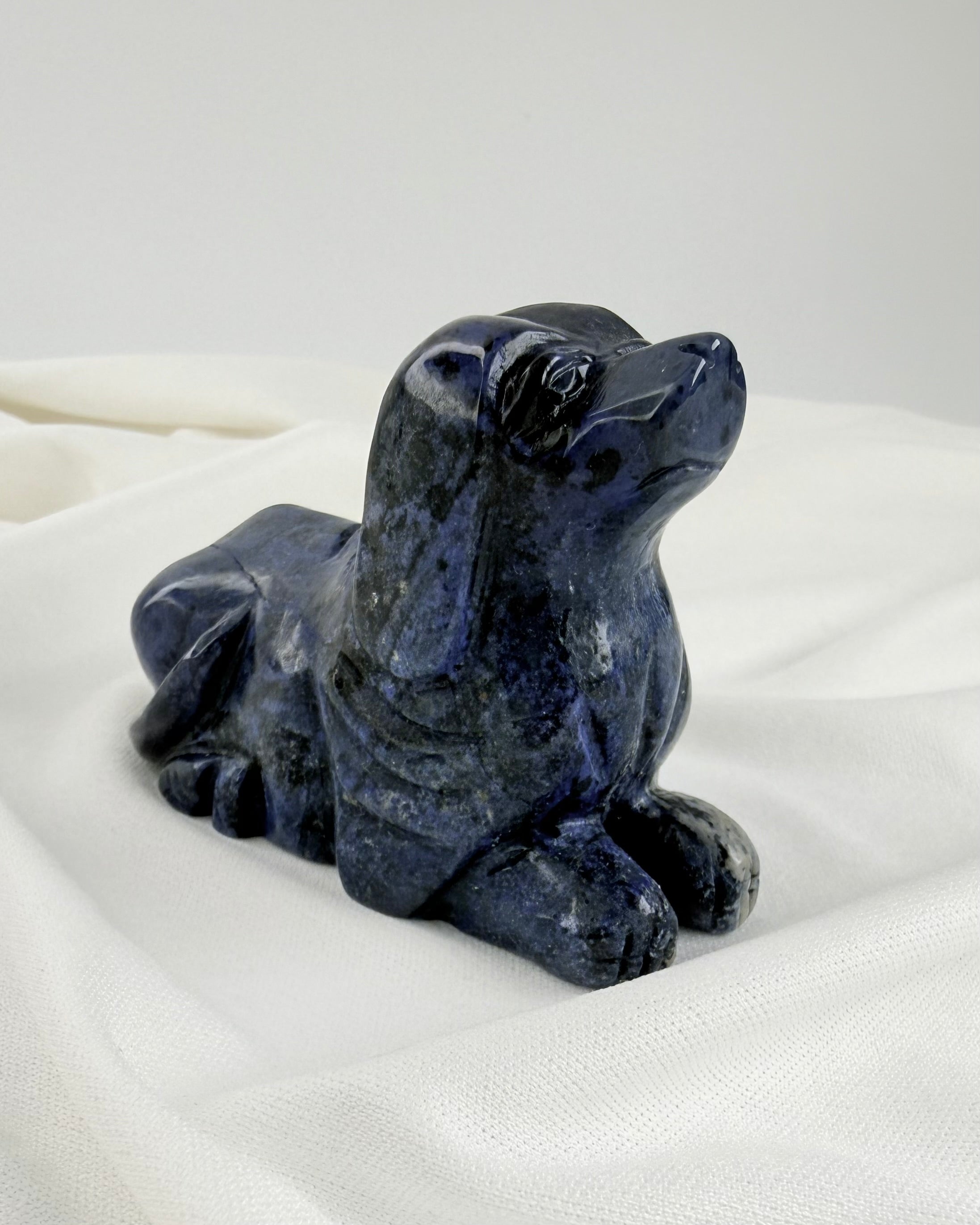 TROFAST GUIDE FOR SINDET - HUND - UNIKA