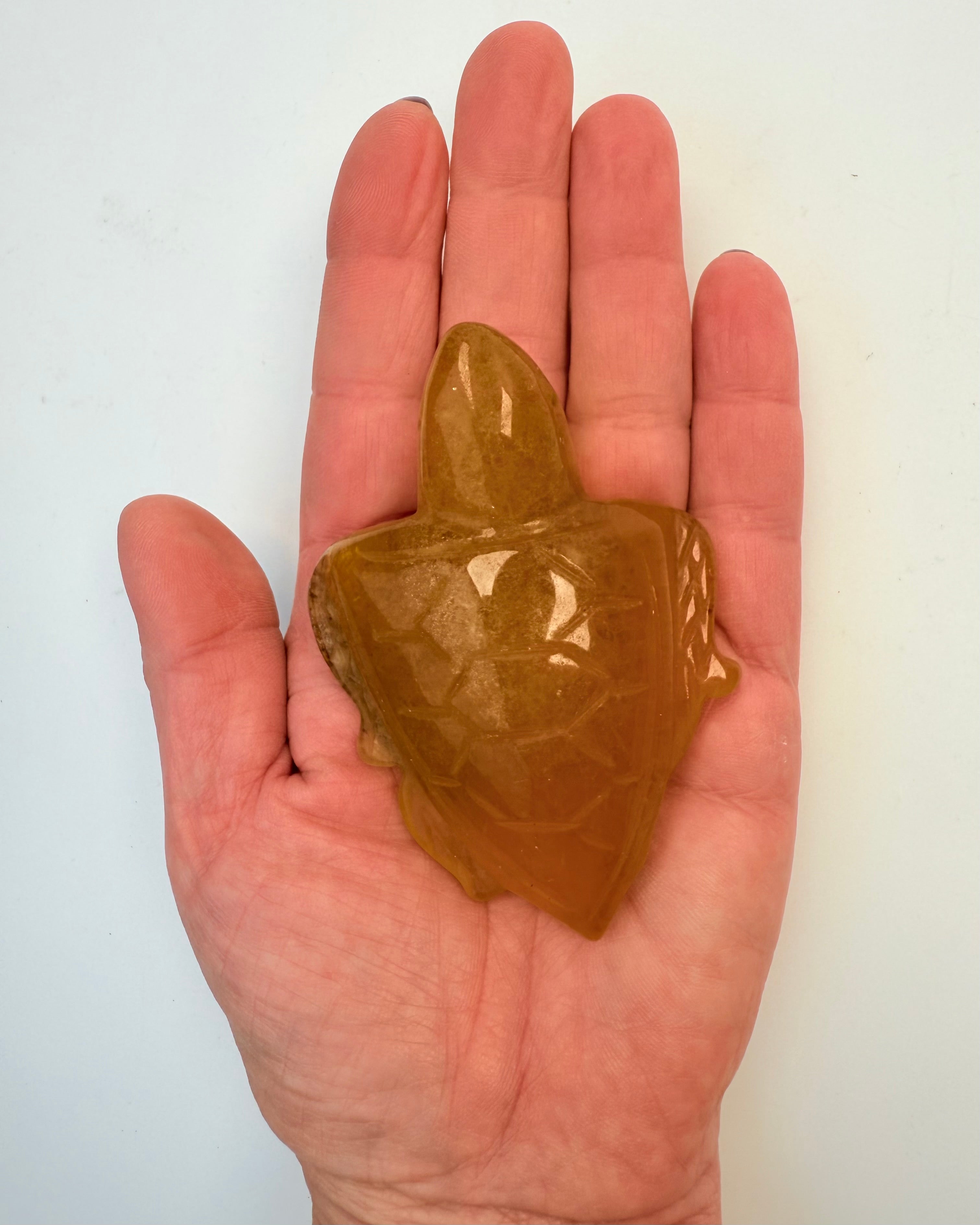 FRIHED - SKILDPADDE - UNIKA