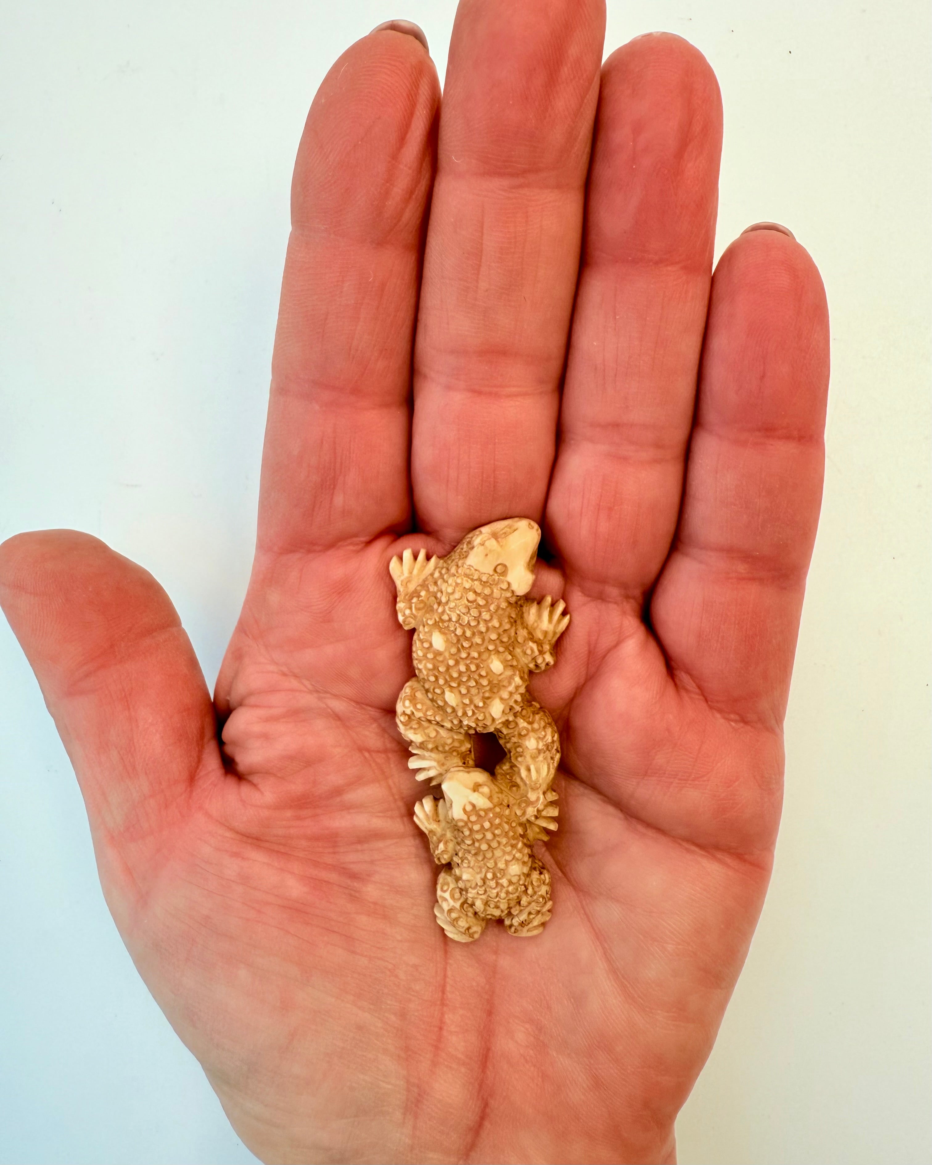 FORBUNDET OG FORENET - GEKKO