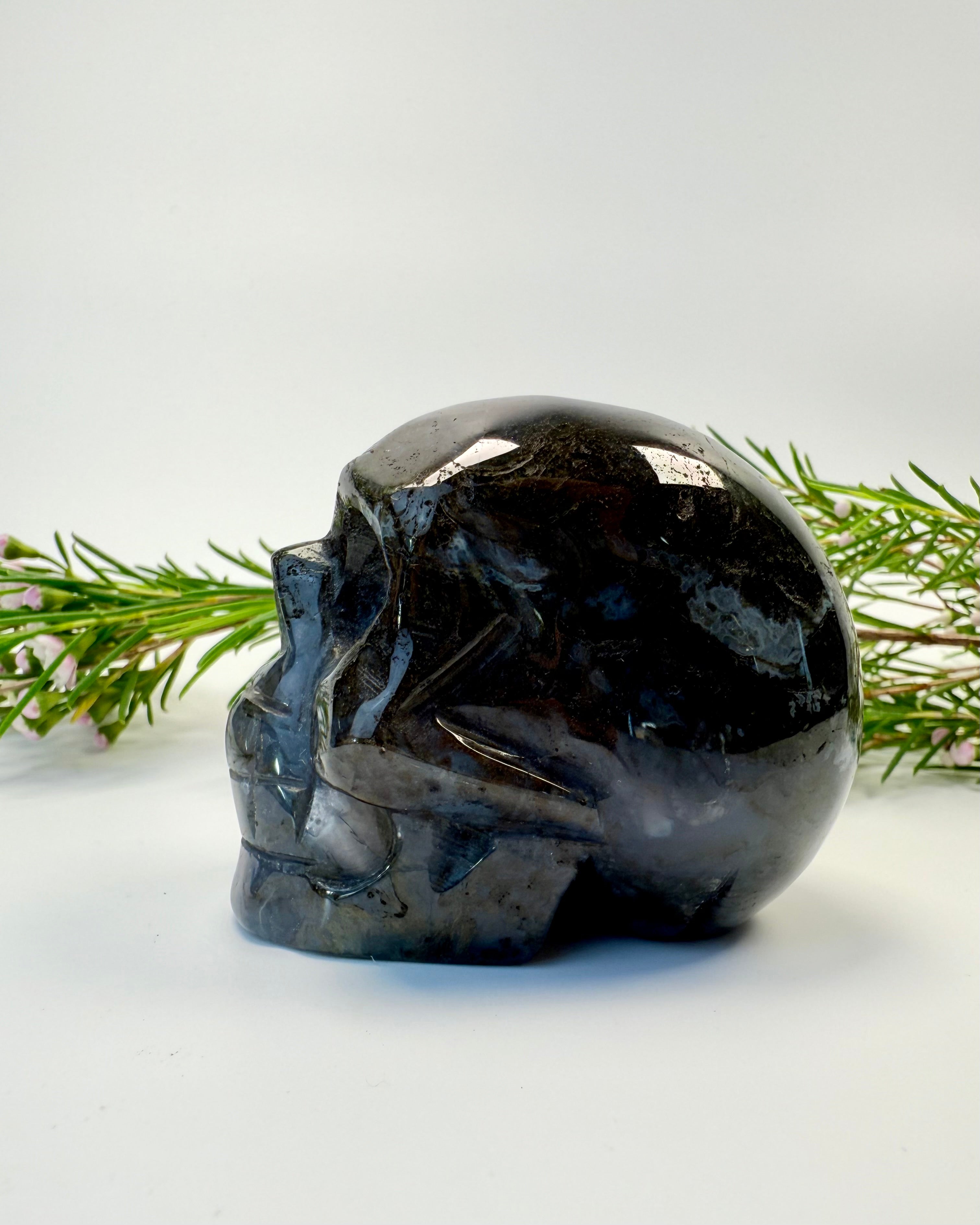 NYT LIV, NYE VALG - KRANIE - UNIKA