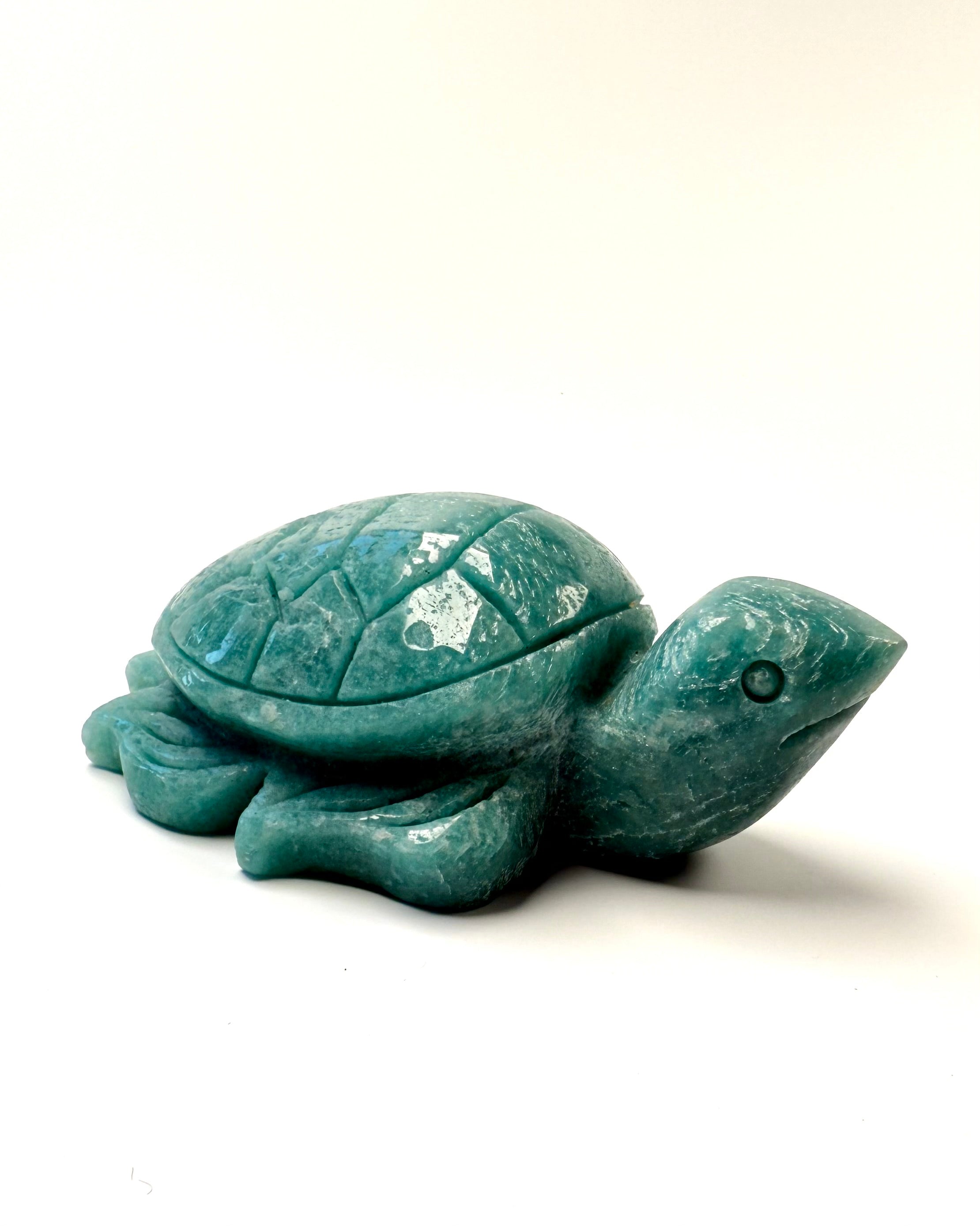 EXPRESS YOURSELF - SKILDPADDE - UNIKA