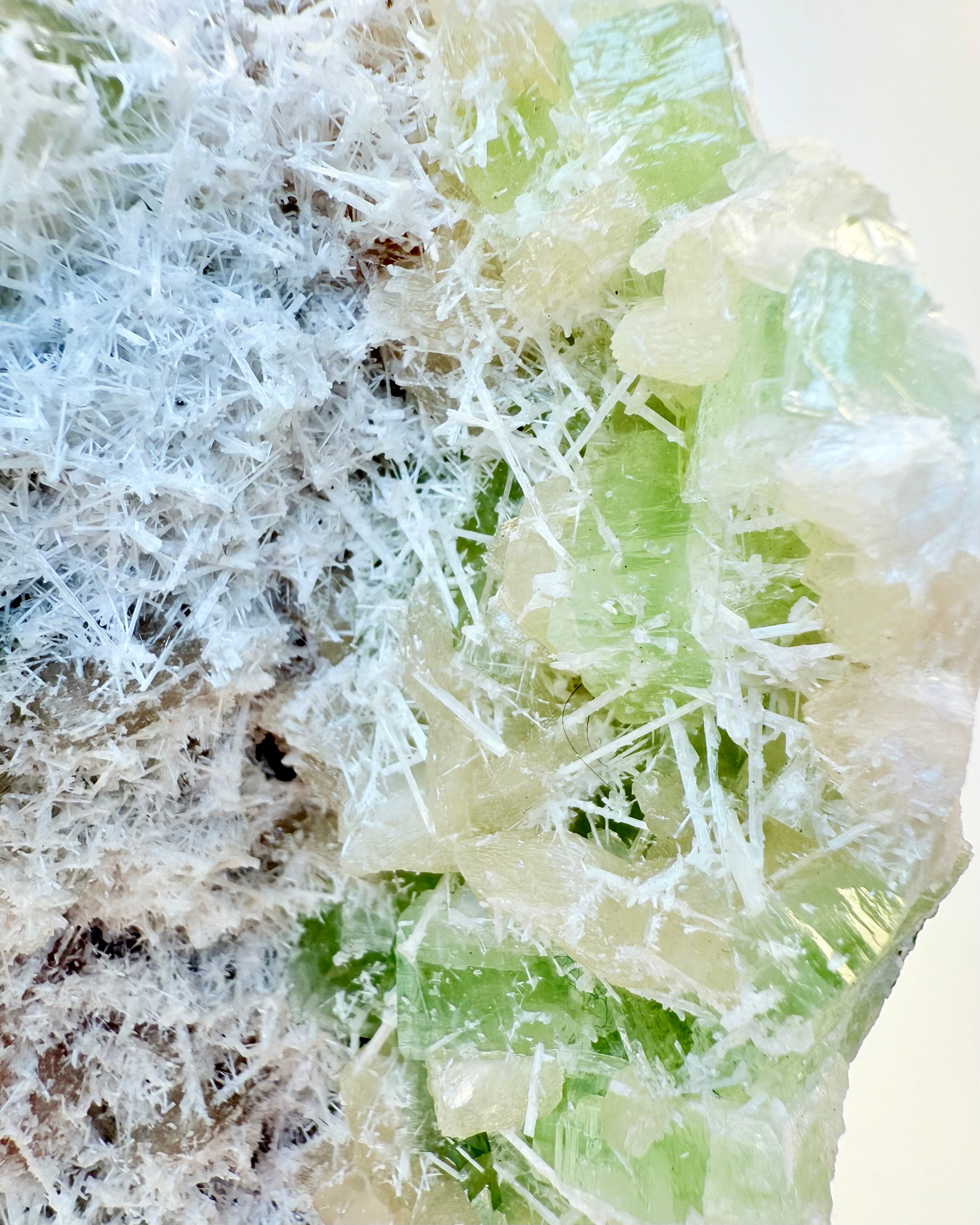 SELVTILLIDENS MESTER - KRYSTAL - UNIKA