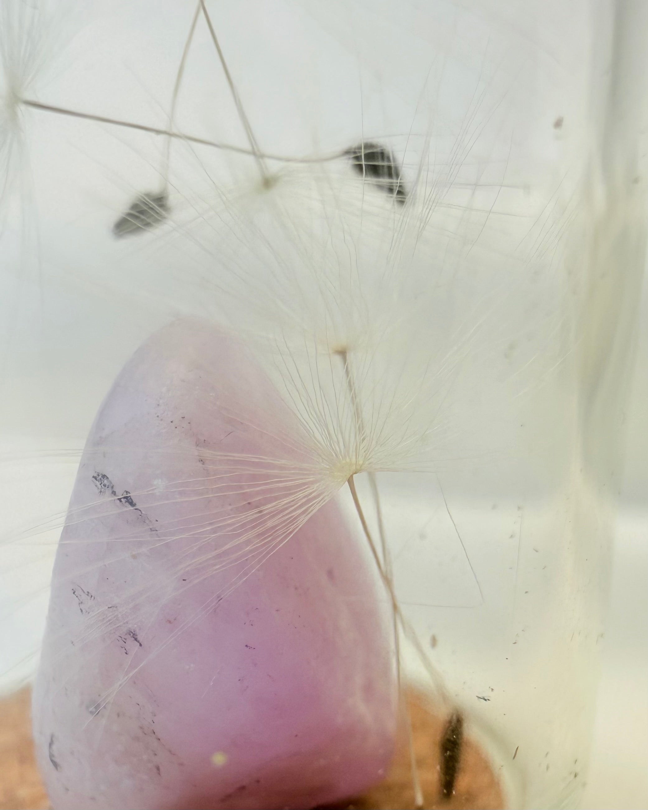 LYKKE OG HELD - KUPPEL