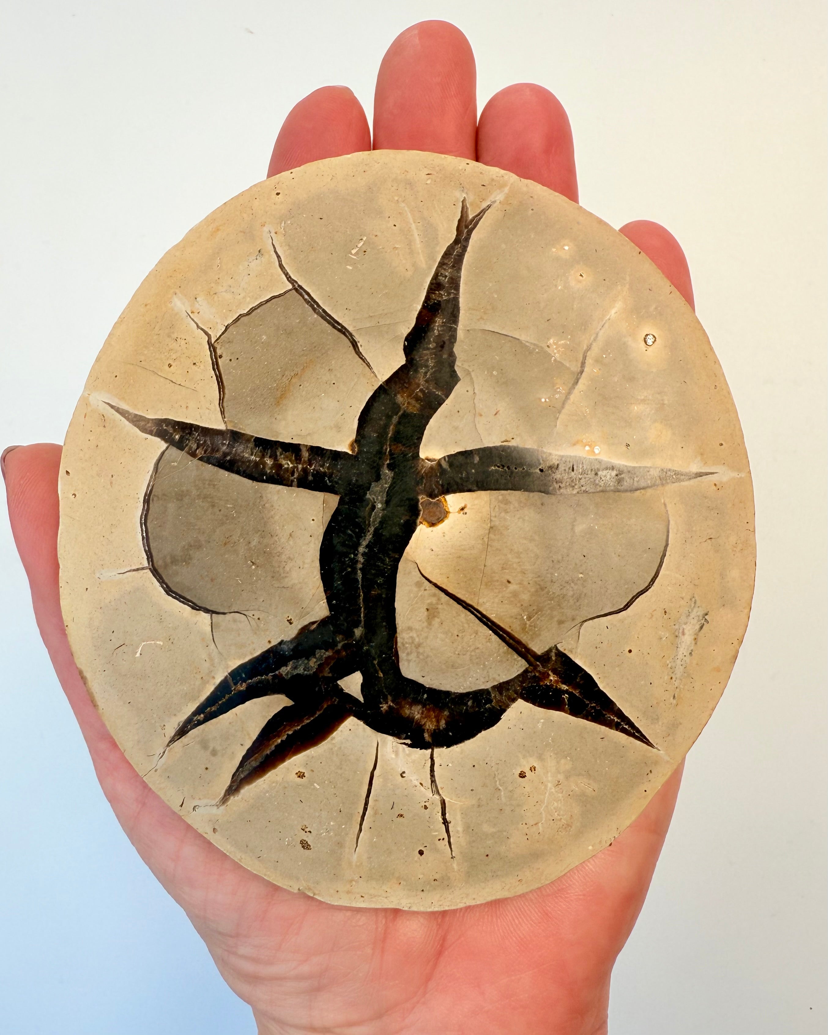 DINE FORFÆDRES AFTRYK - KRYSTAL