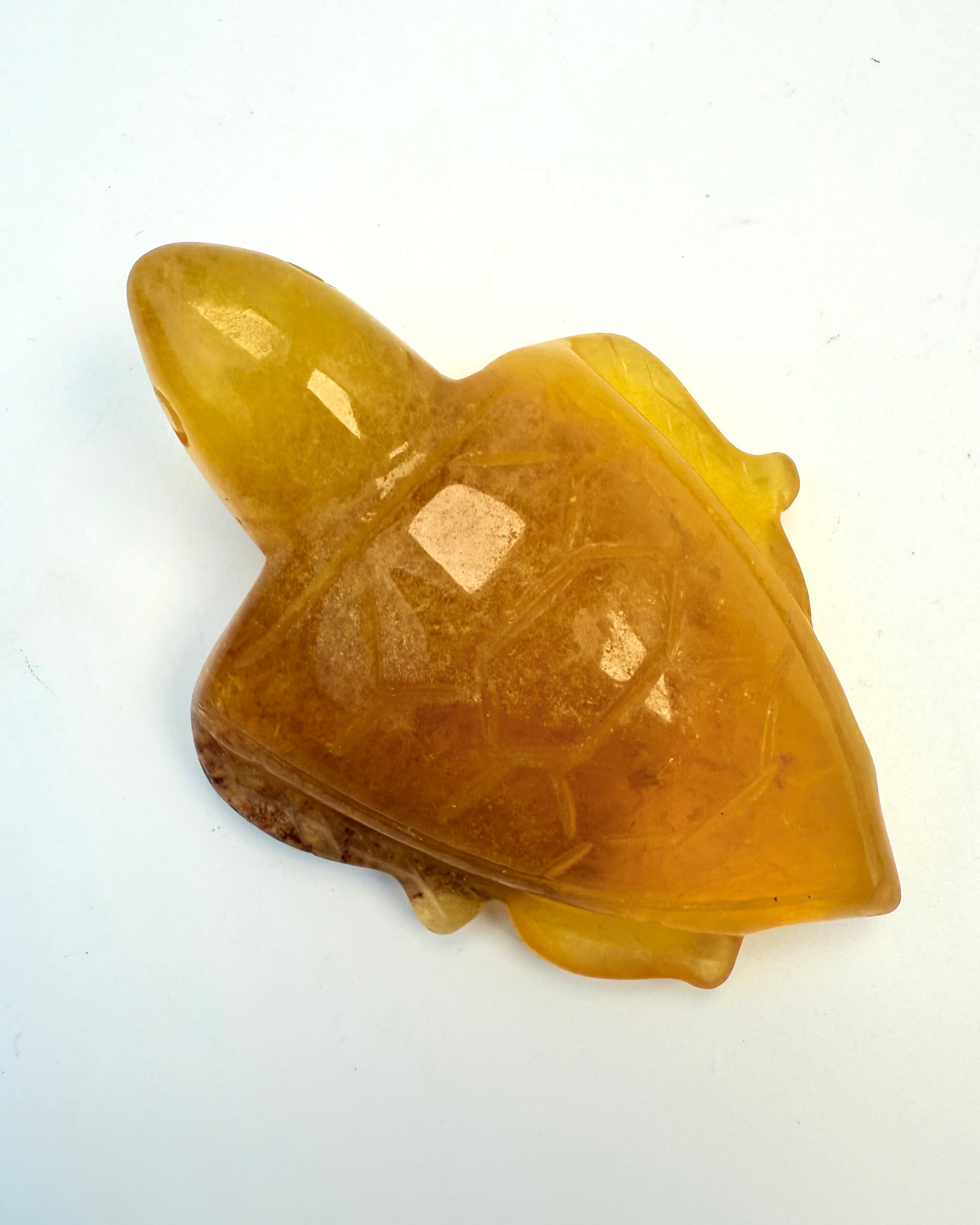 FRIHED - SKILDPADDE - UNIKA