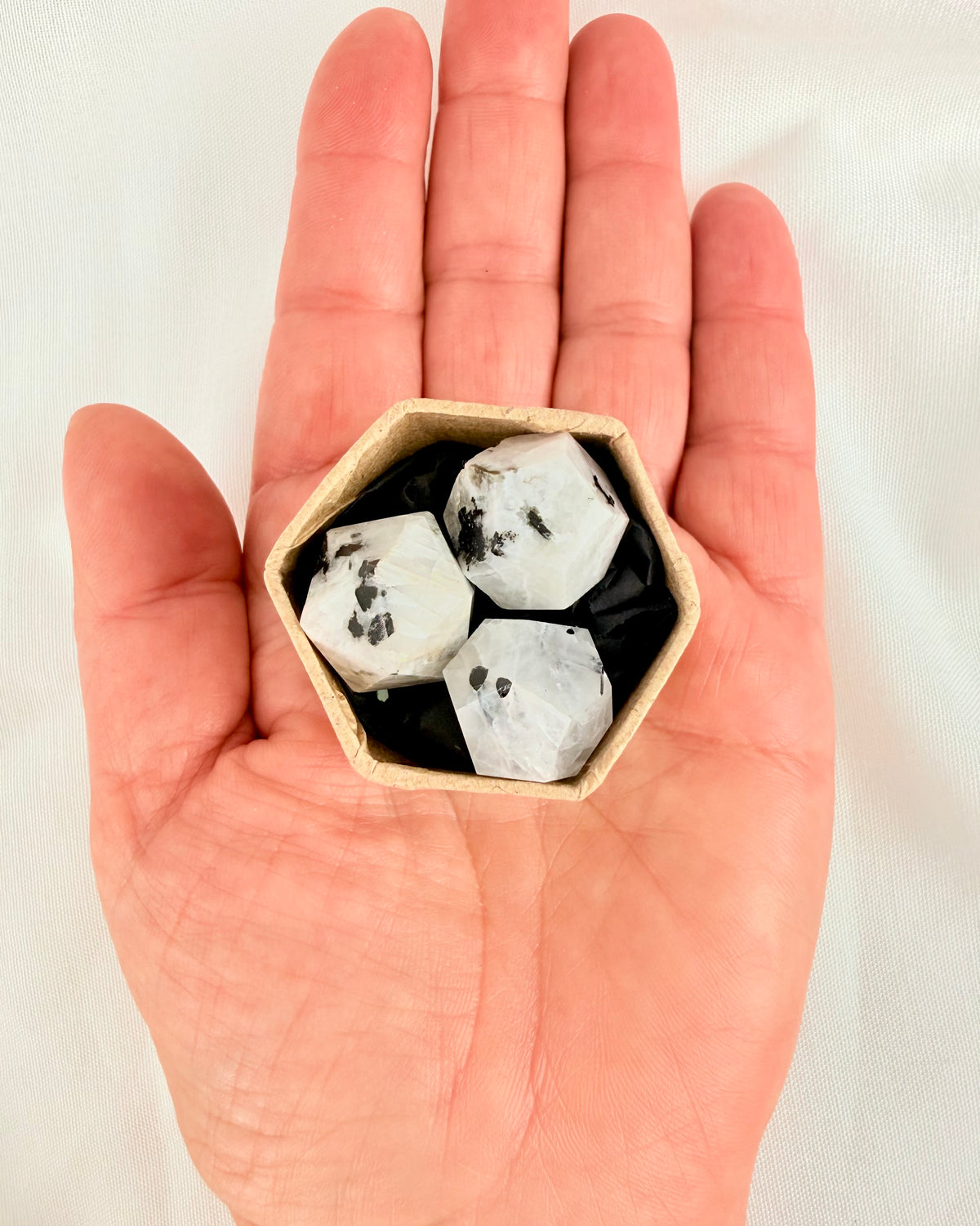PAGTEN - KIT - UNIKA