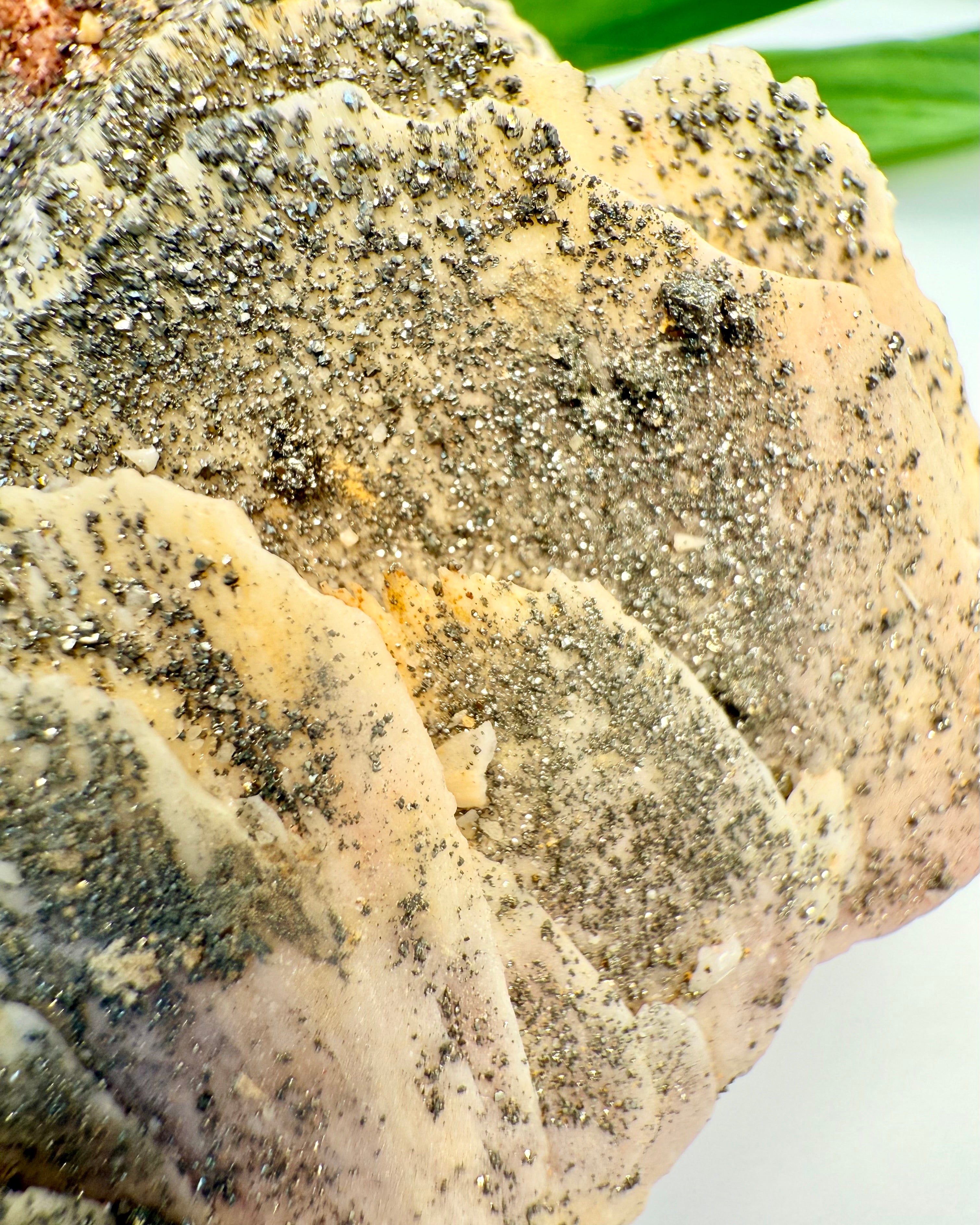 STJERNEREJSE - KRYSTAL - UNIKA