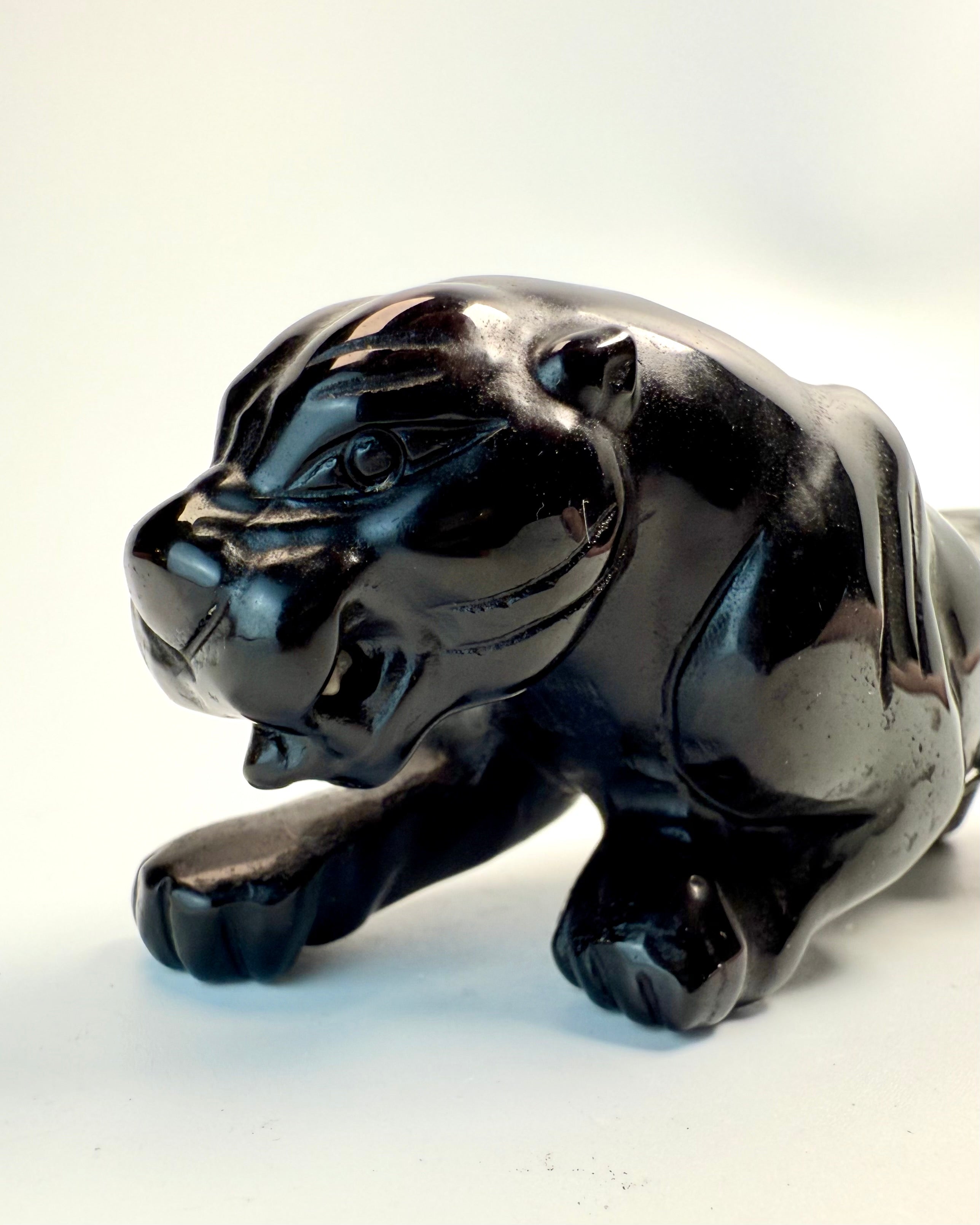 MØRKETS FREMDRIFT - JAGUAR - UNIKA