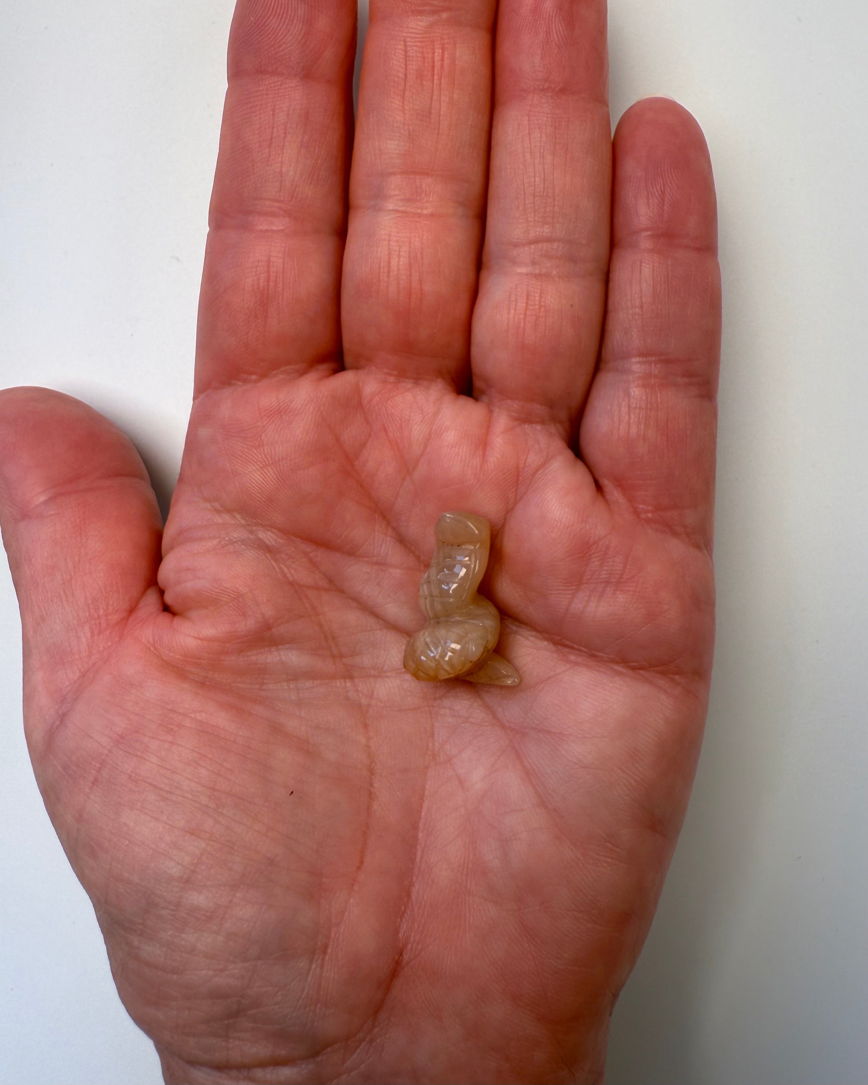 NY FRISK ENERGI - SLANGE