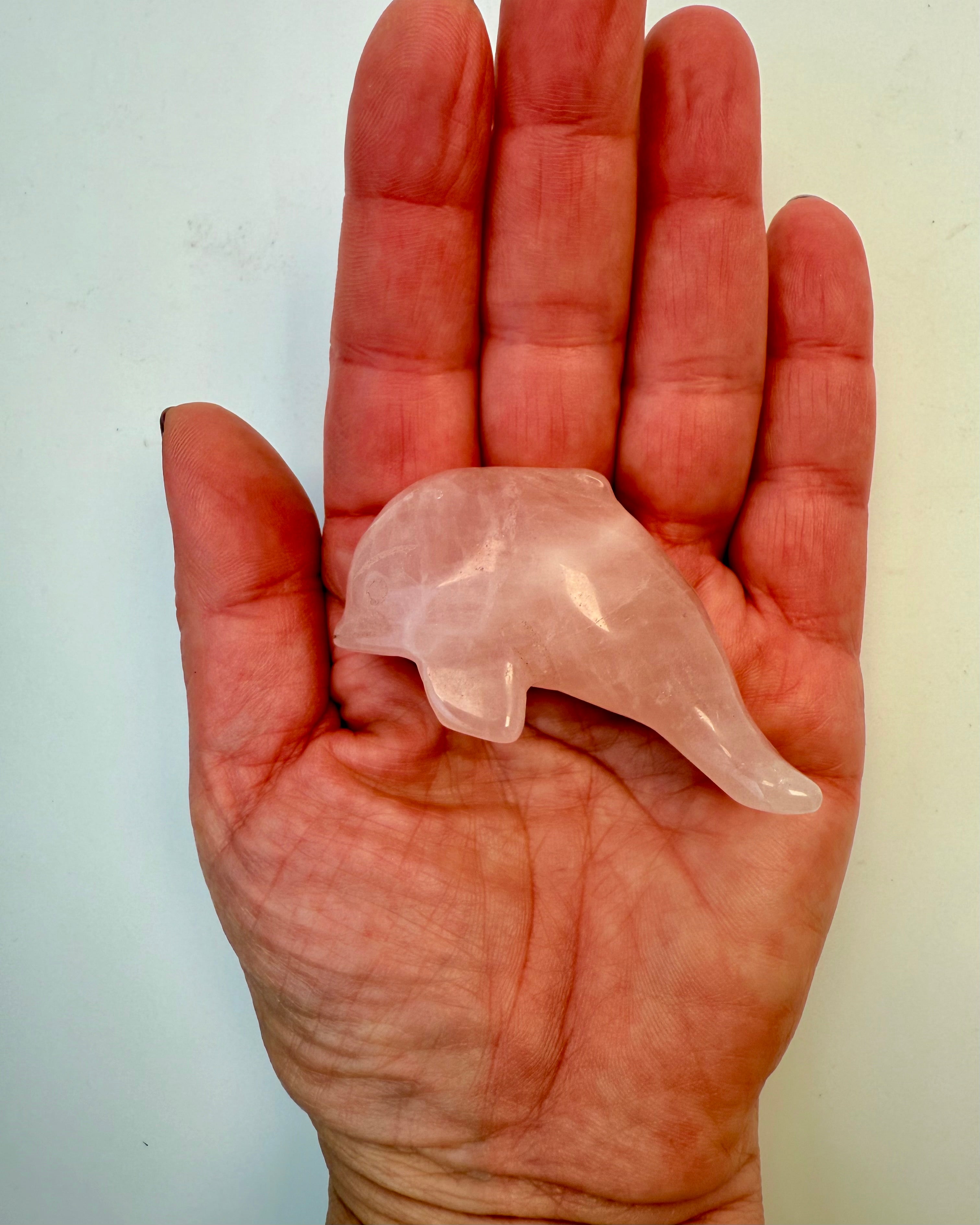 FORSTÅELSE - DELFIN