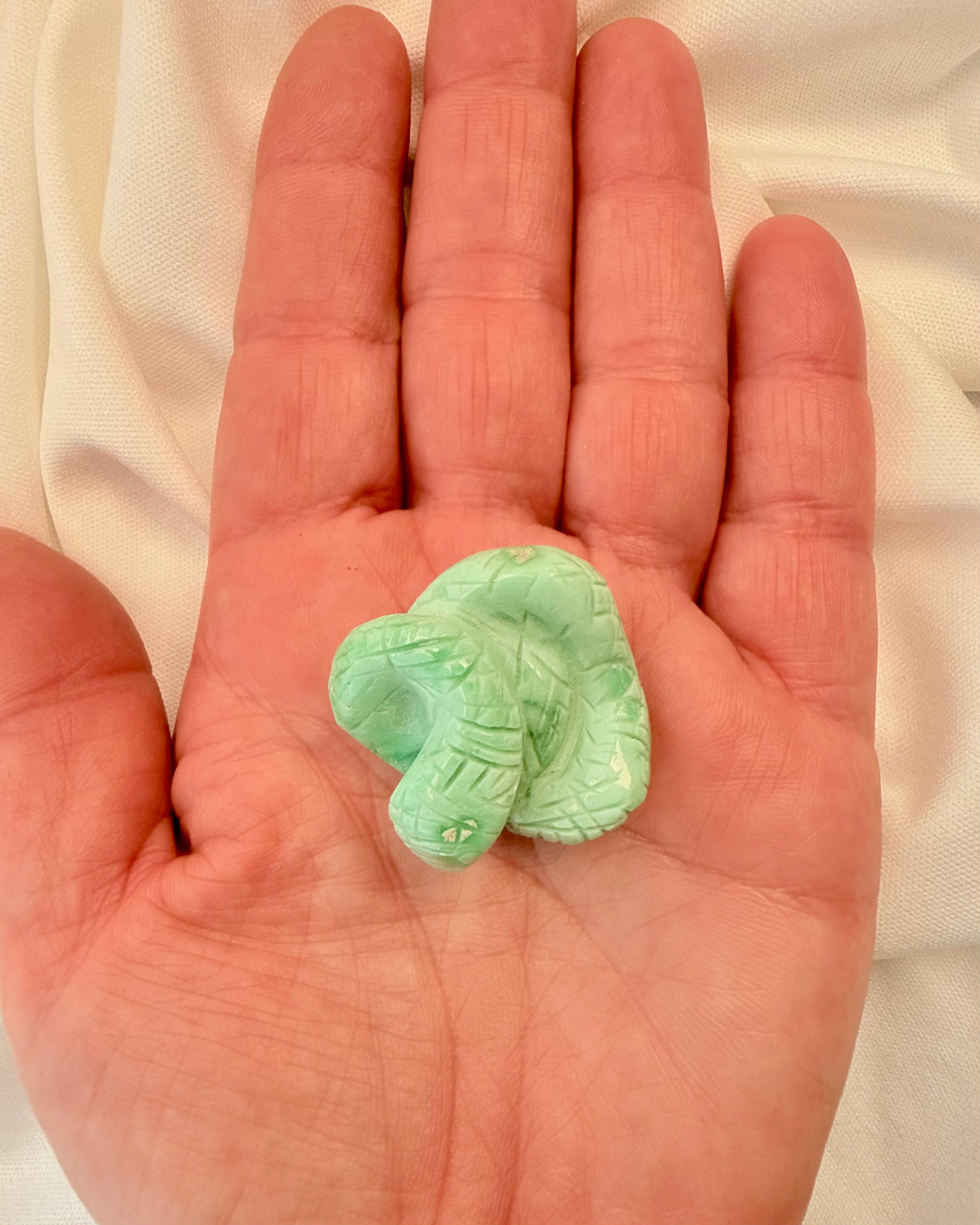 GENFØDSEL - SLANGE - UNIKA