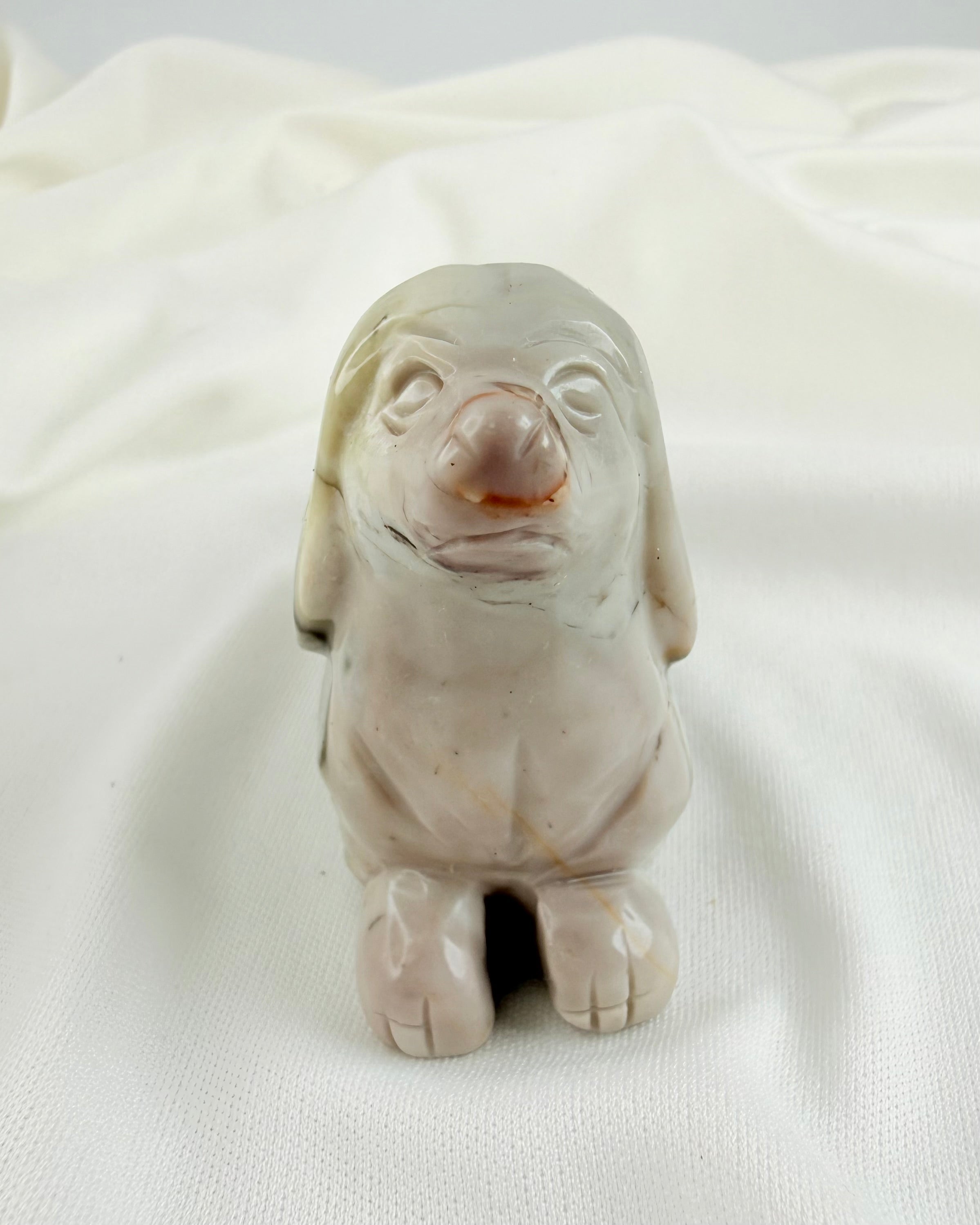 JEG ER MIN EGEN - HUND - UNIKA