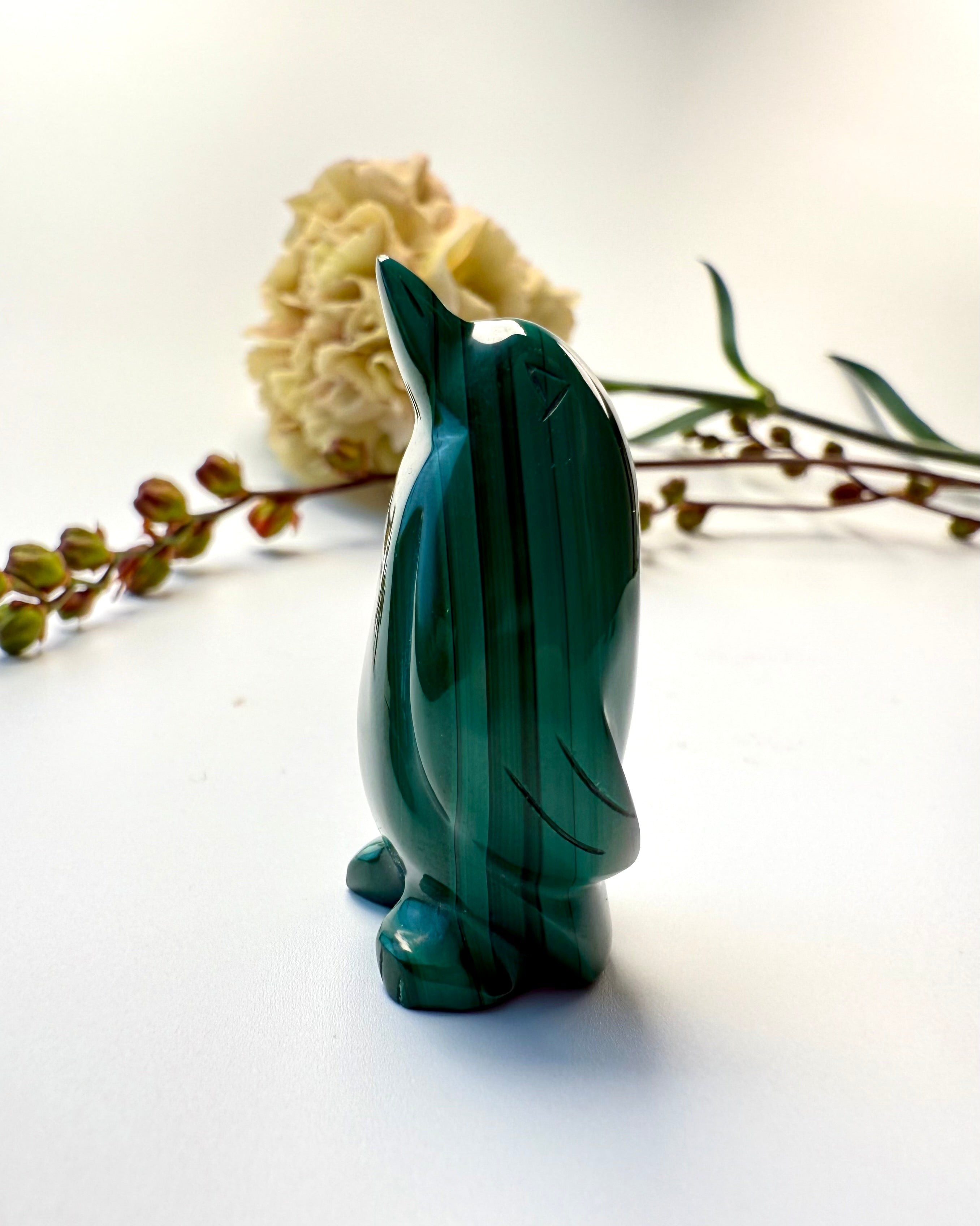 DIN EGEN SEJR - PINGVIN