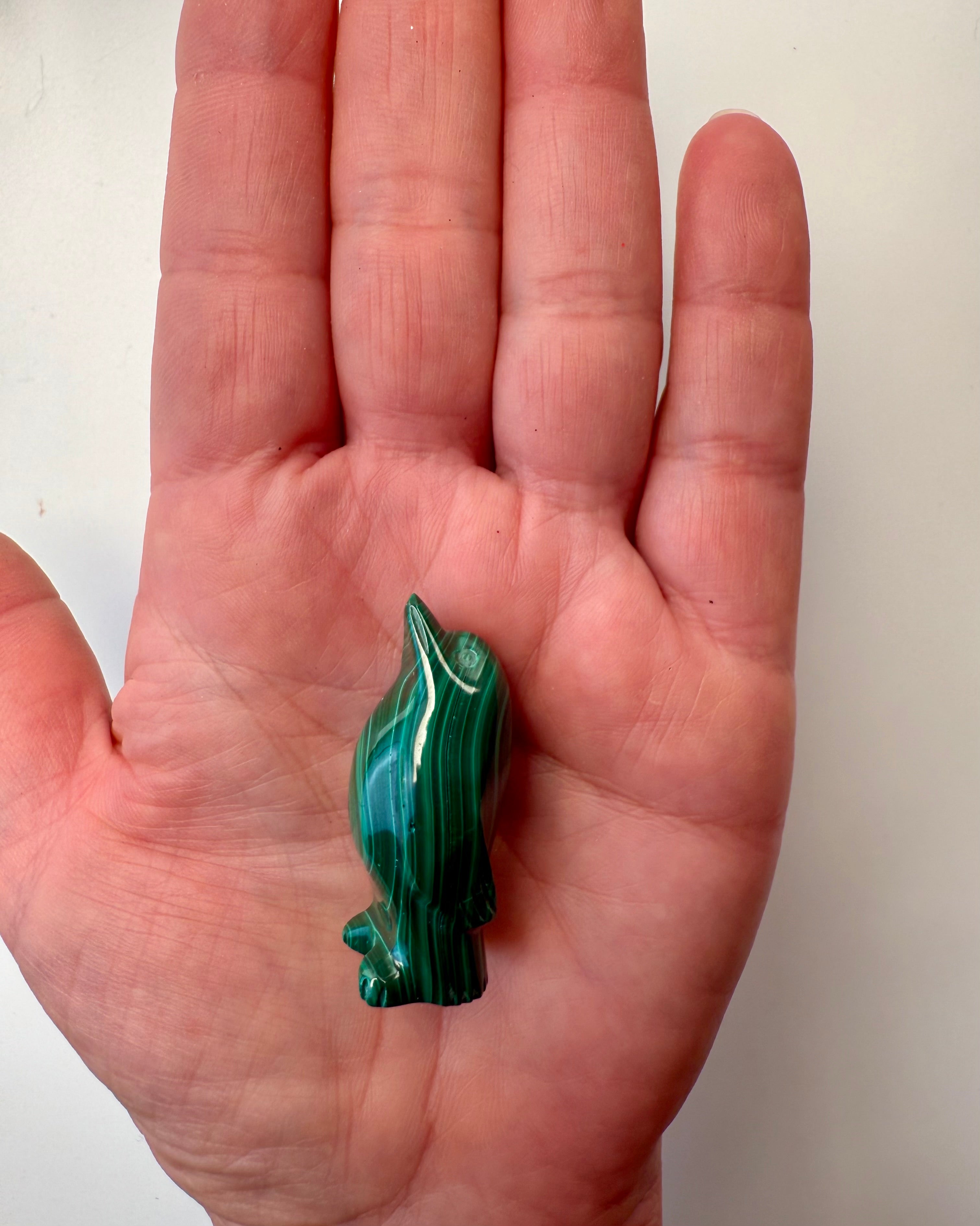 DIN EGEN SEJR - PINGVIN