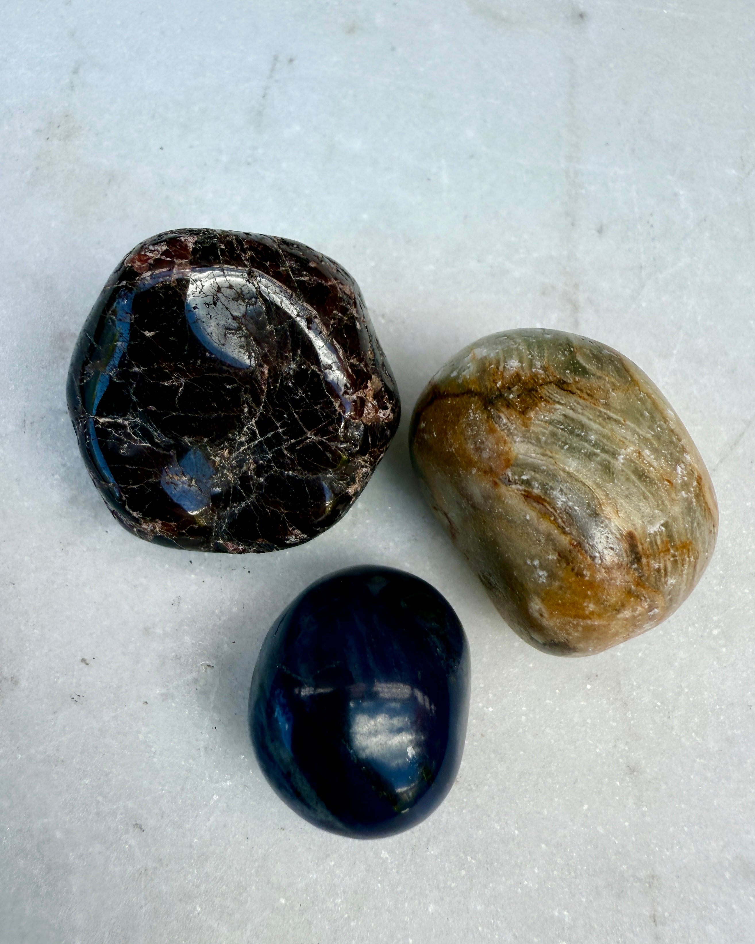 TYREN - STJERNETEGN - SÆT