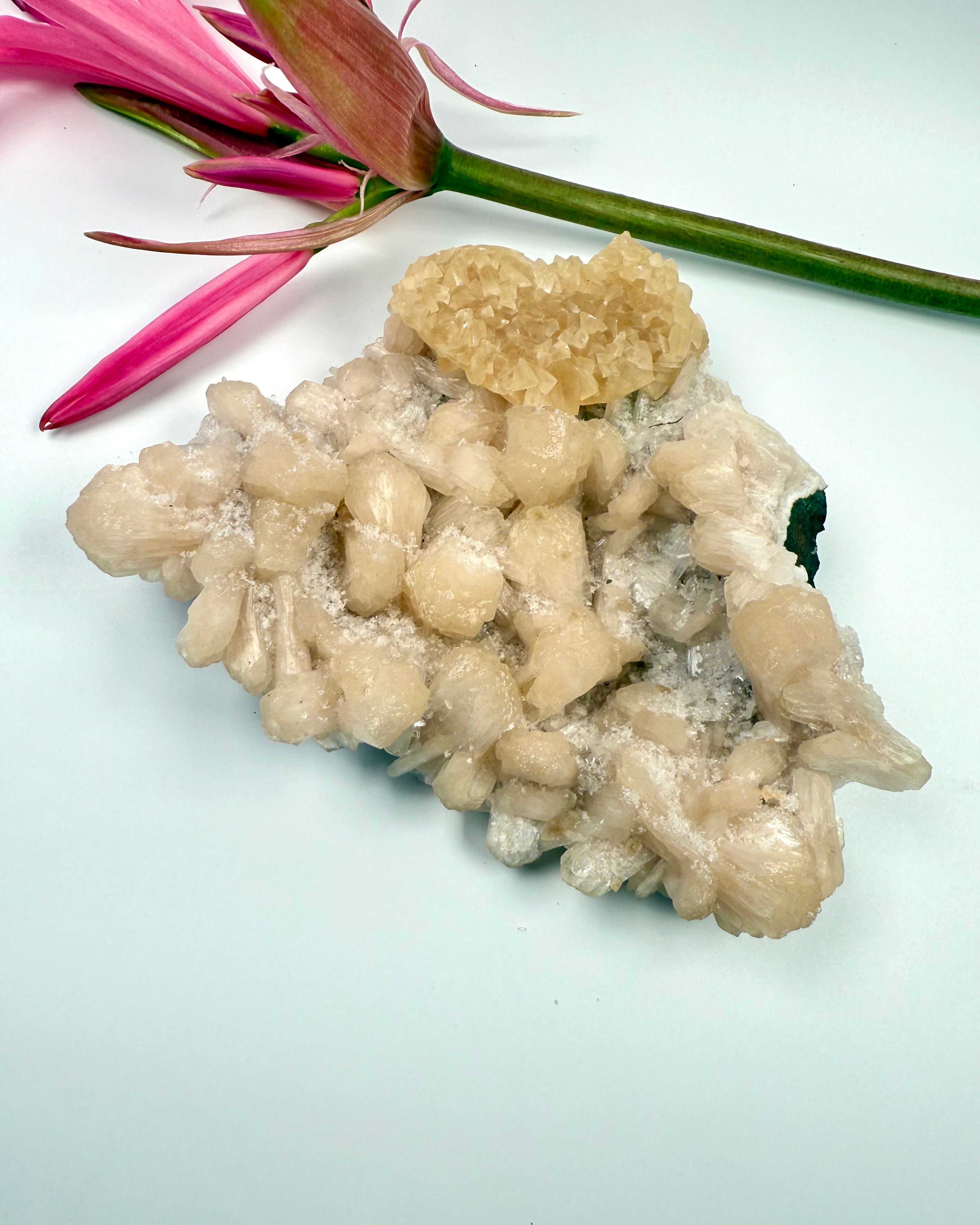 YPPERSTEPRÆSTINDENS VELSIGNELSE - KRYSTAL - UNIKA