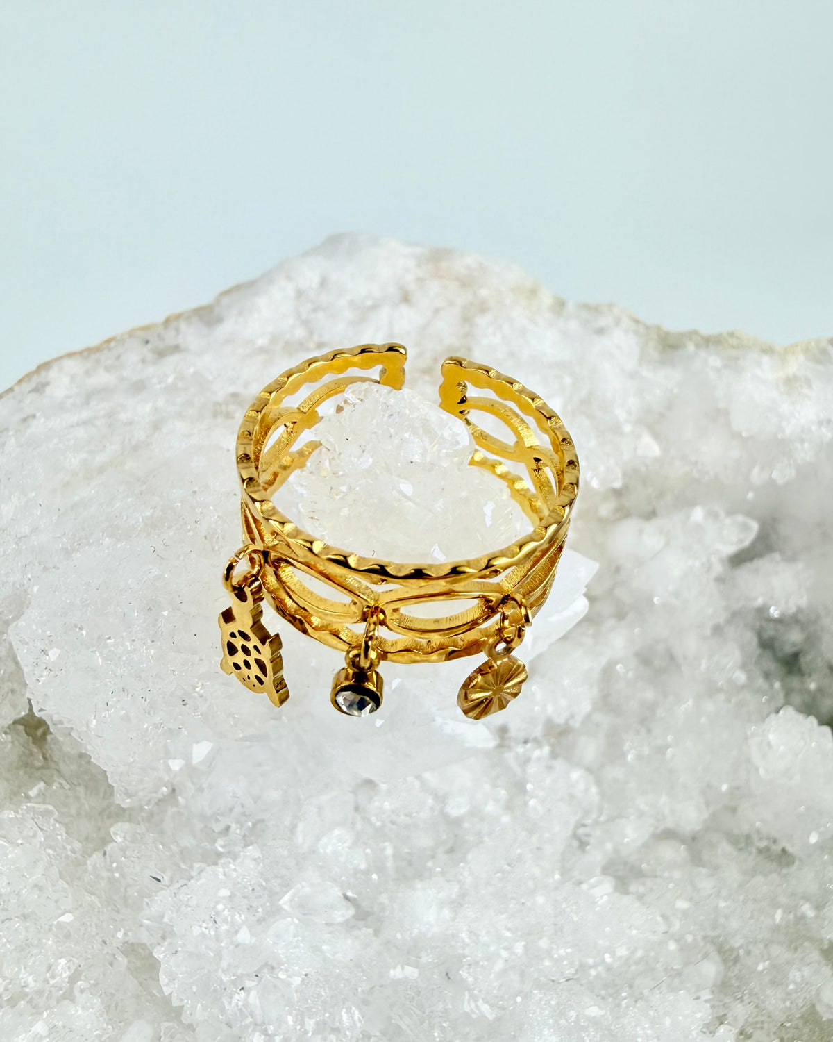 HELD OG HERLIGHED - RING