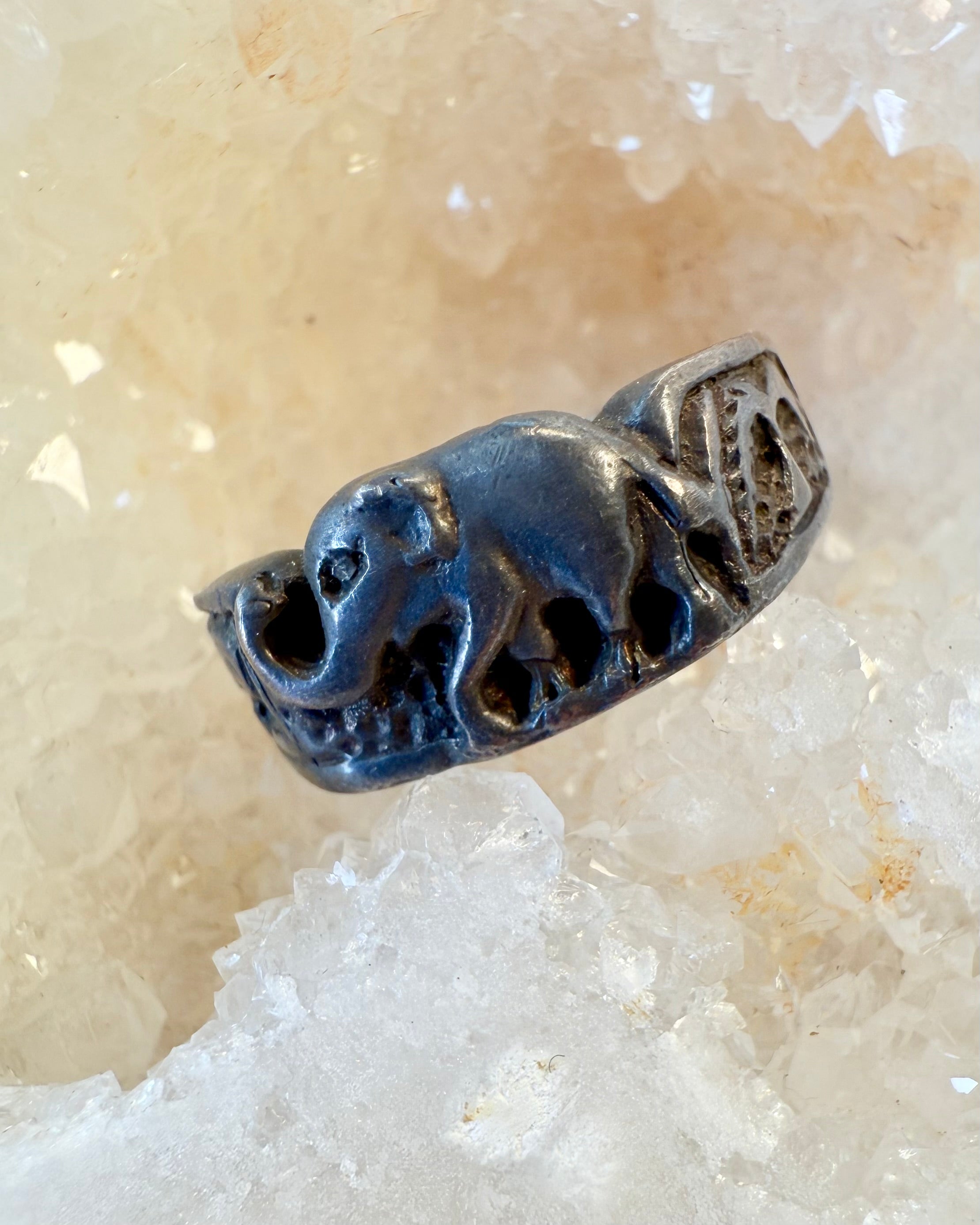 THE WISE WALKER - RING - UNIKA