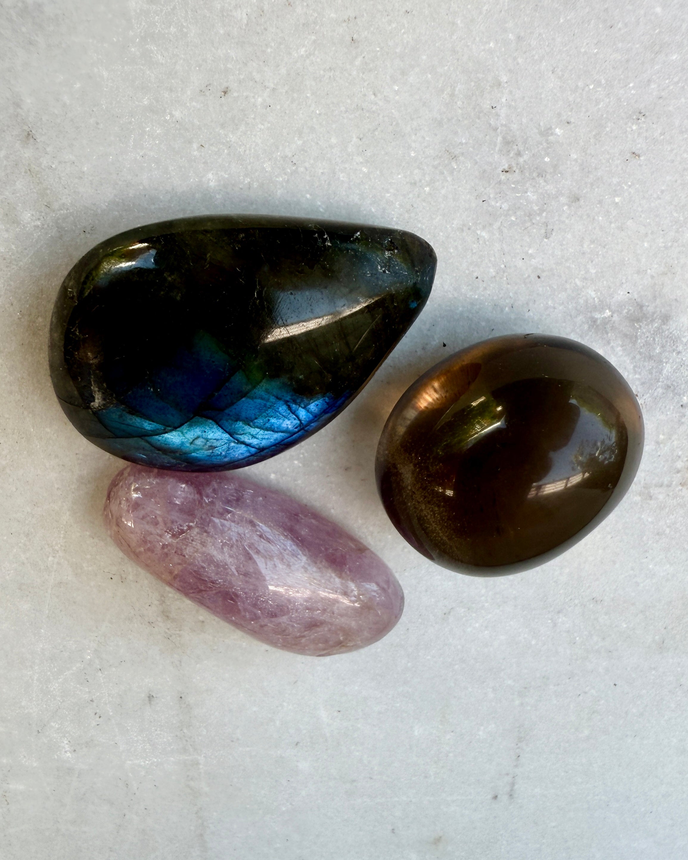 FISKEN - STJERNETEGN - SÆT