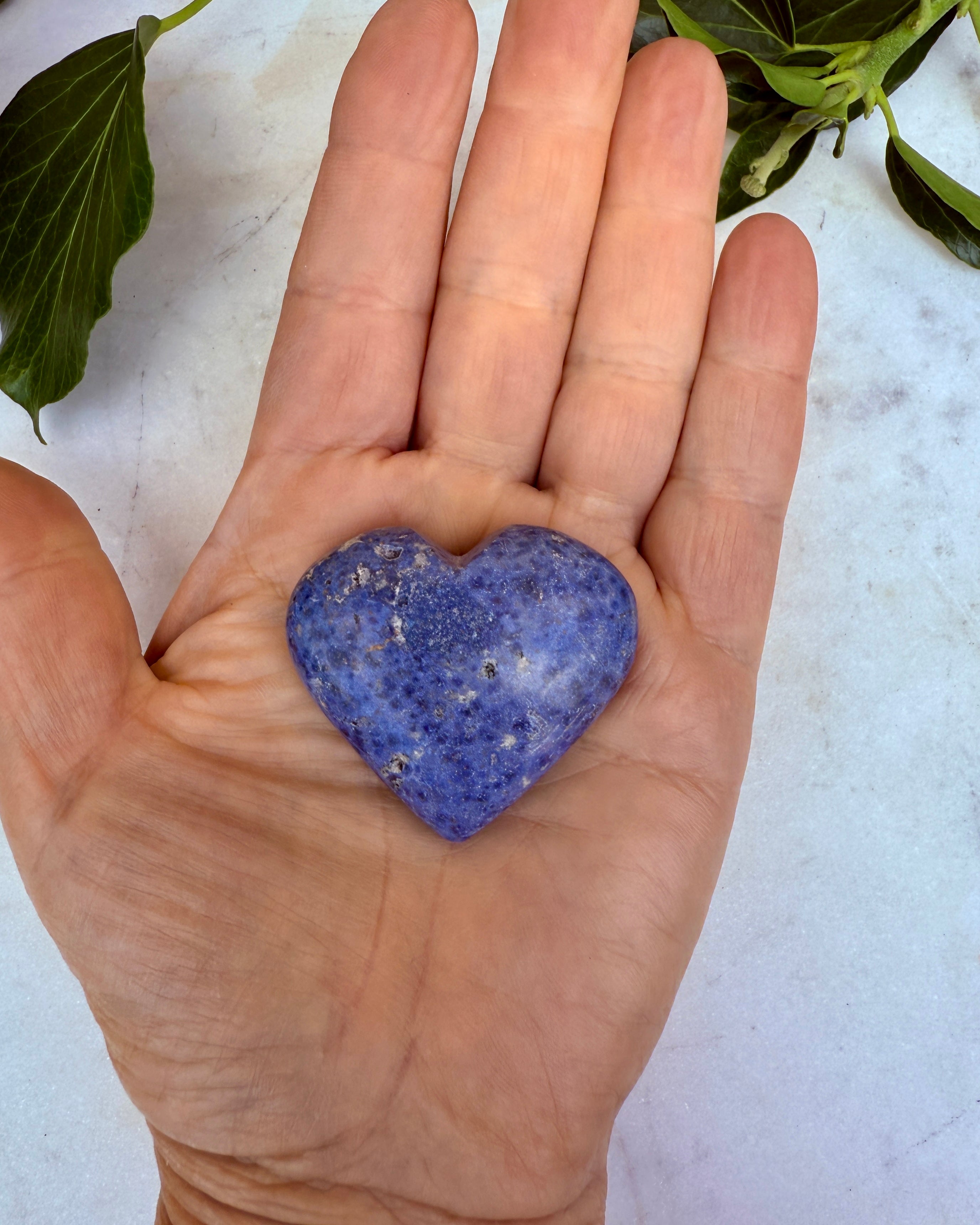 BORN TO LOVE - KRYSTAL