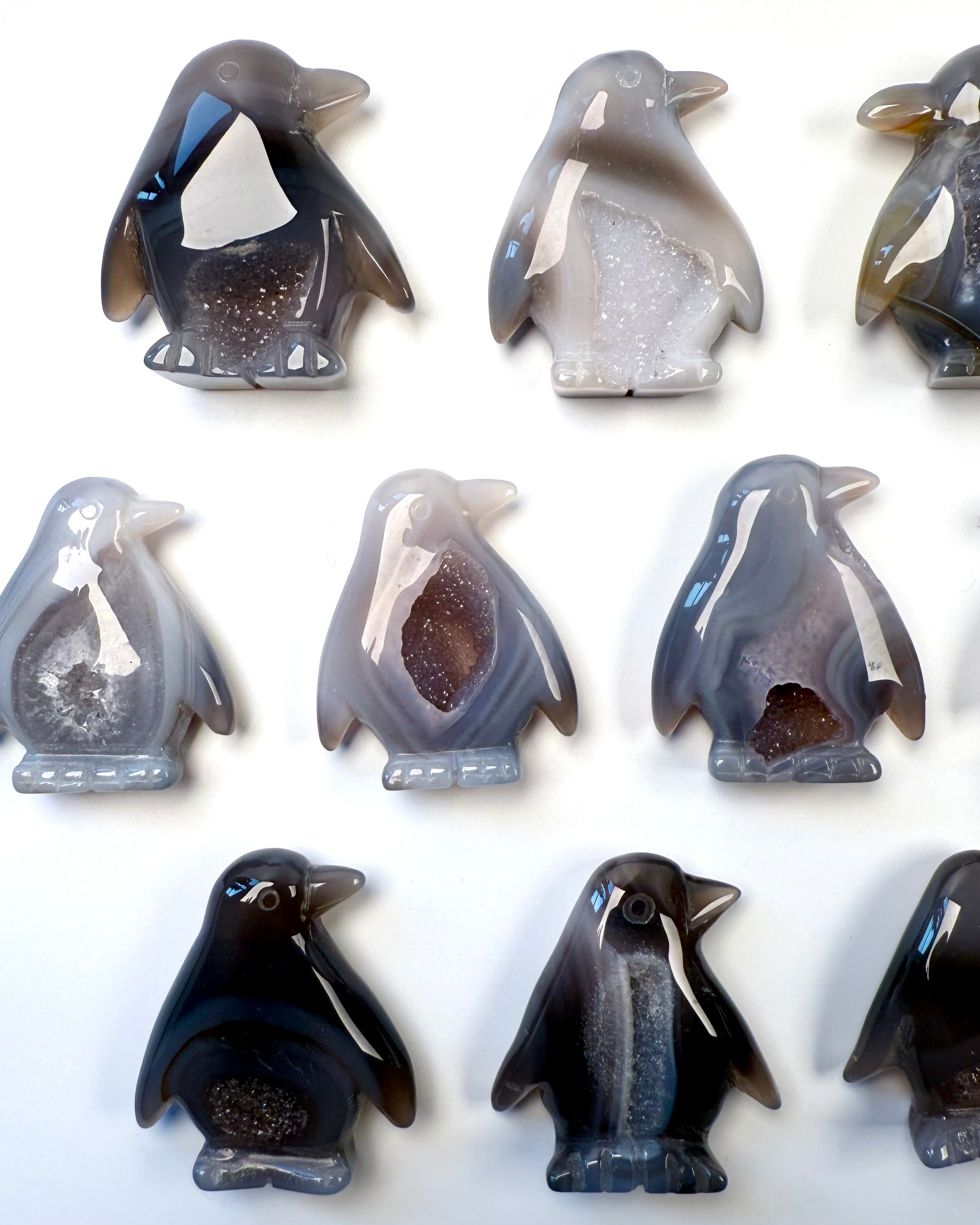 SYNKRONICITET - PINGVIN