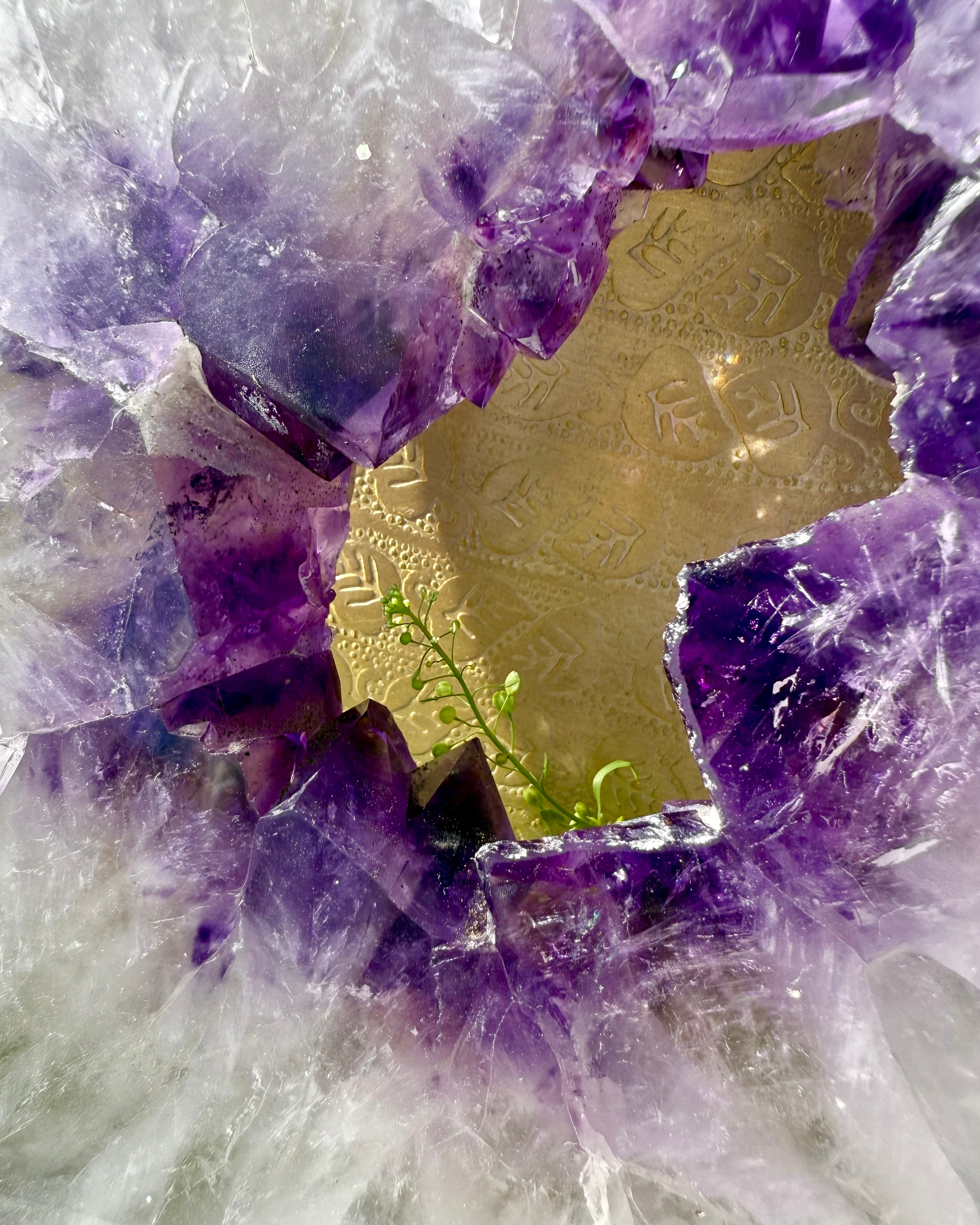 SLIP VILDSKABEN FRI - KRYSTAL - UNIKA