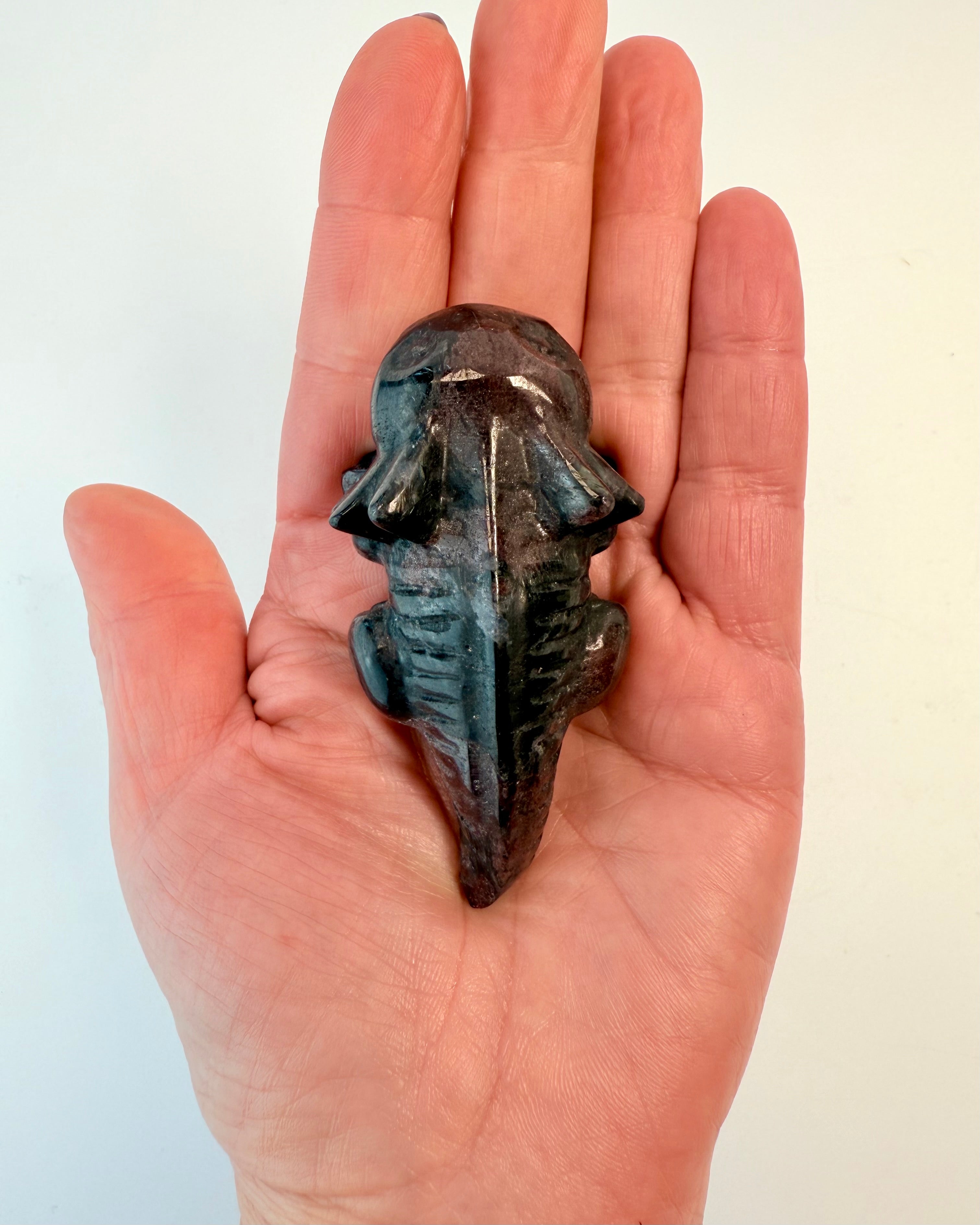 UD AF DIN COMFORTZONE - BÆLTEDYR 2 tilb