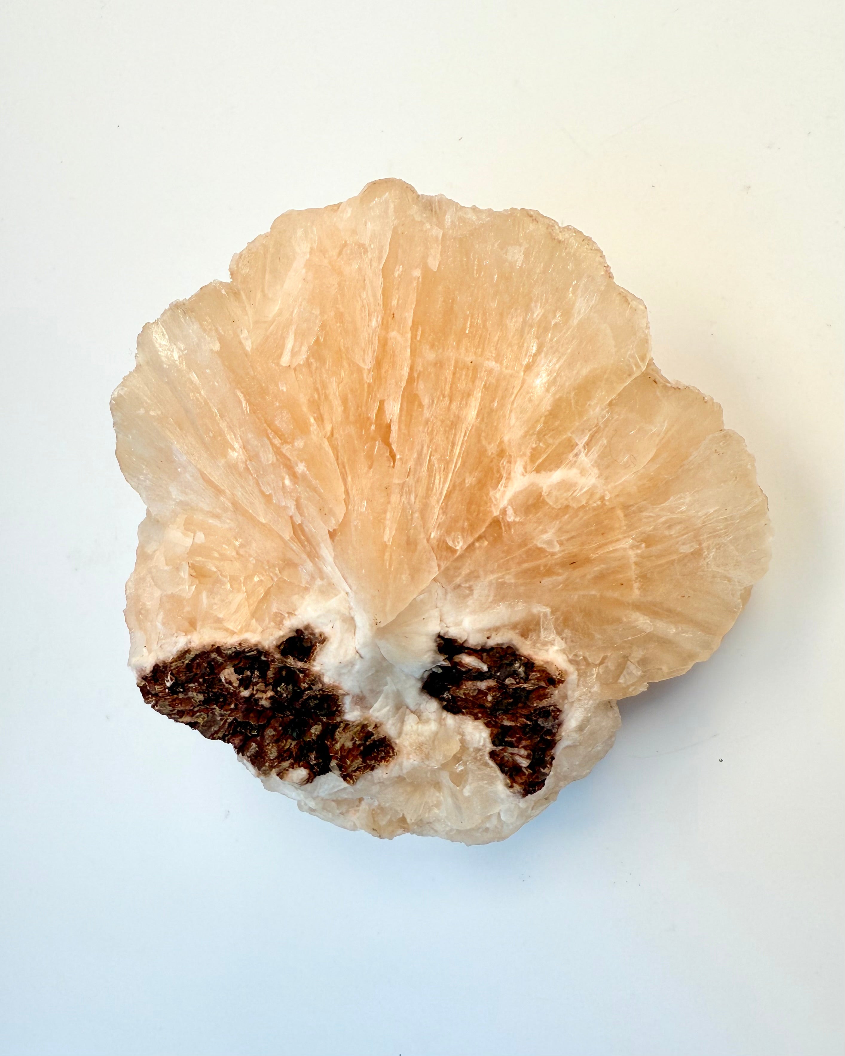 LÆNGSEL EFTER DET UKENDTE - KRYSTAL - UNIKA