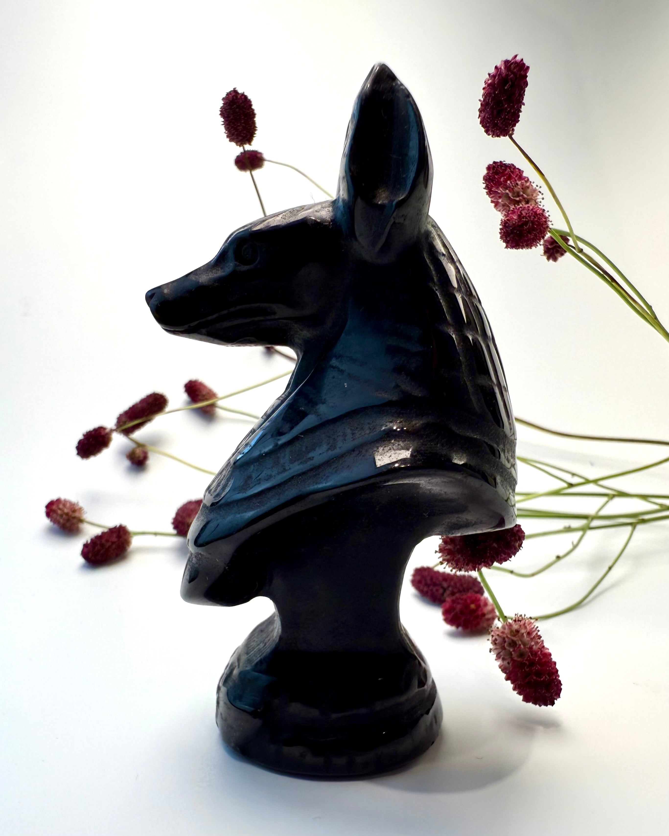 KONFRONTER DIN FRYGT - SJAKAL