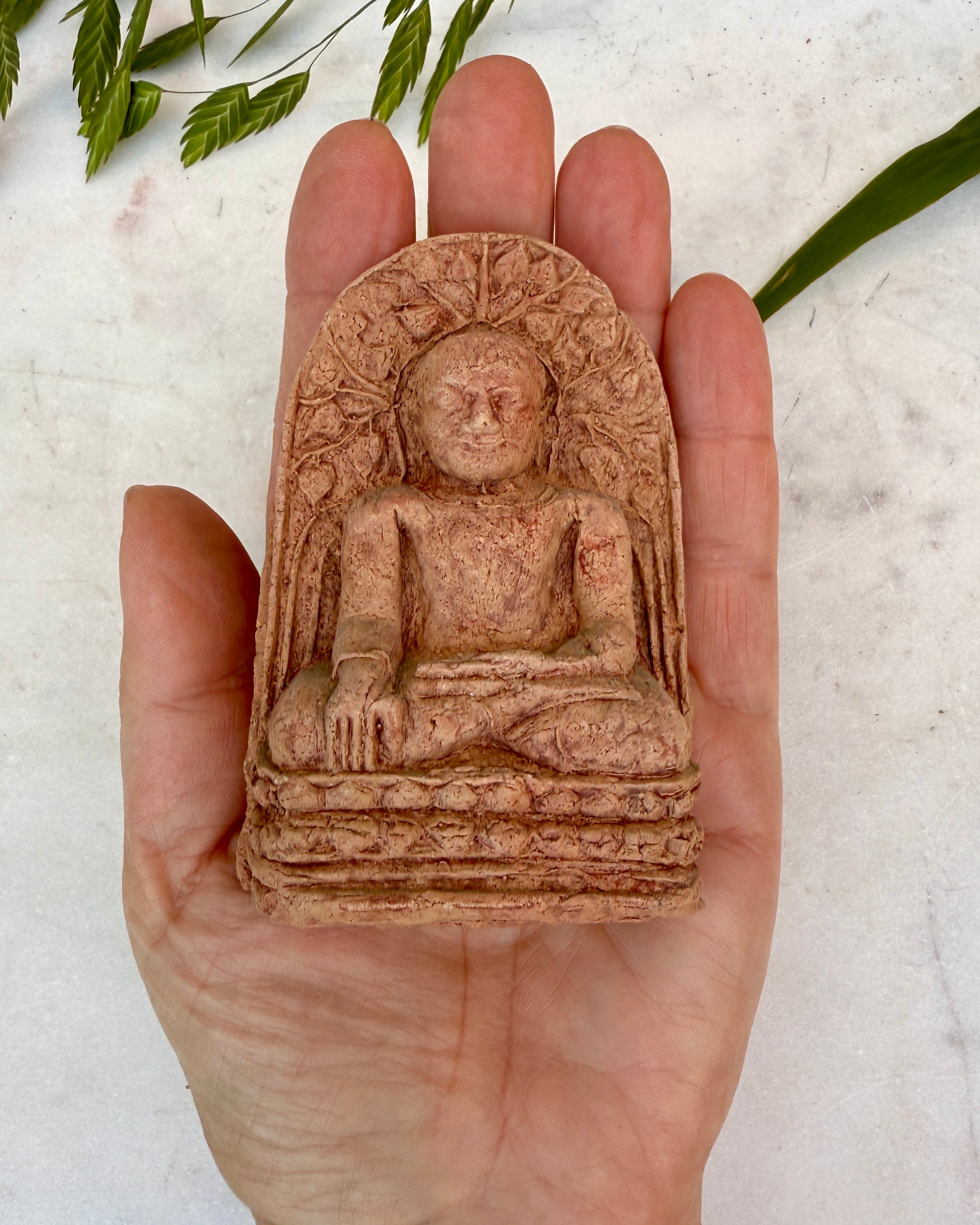 OPLYSNING OG SEJR - BUDDHA
