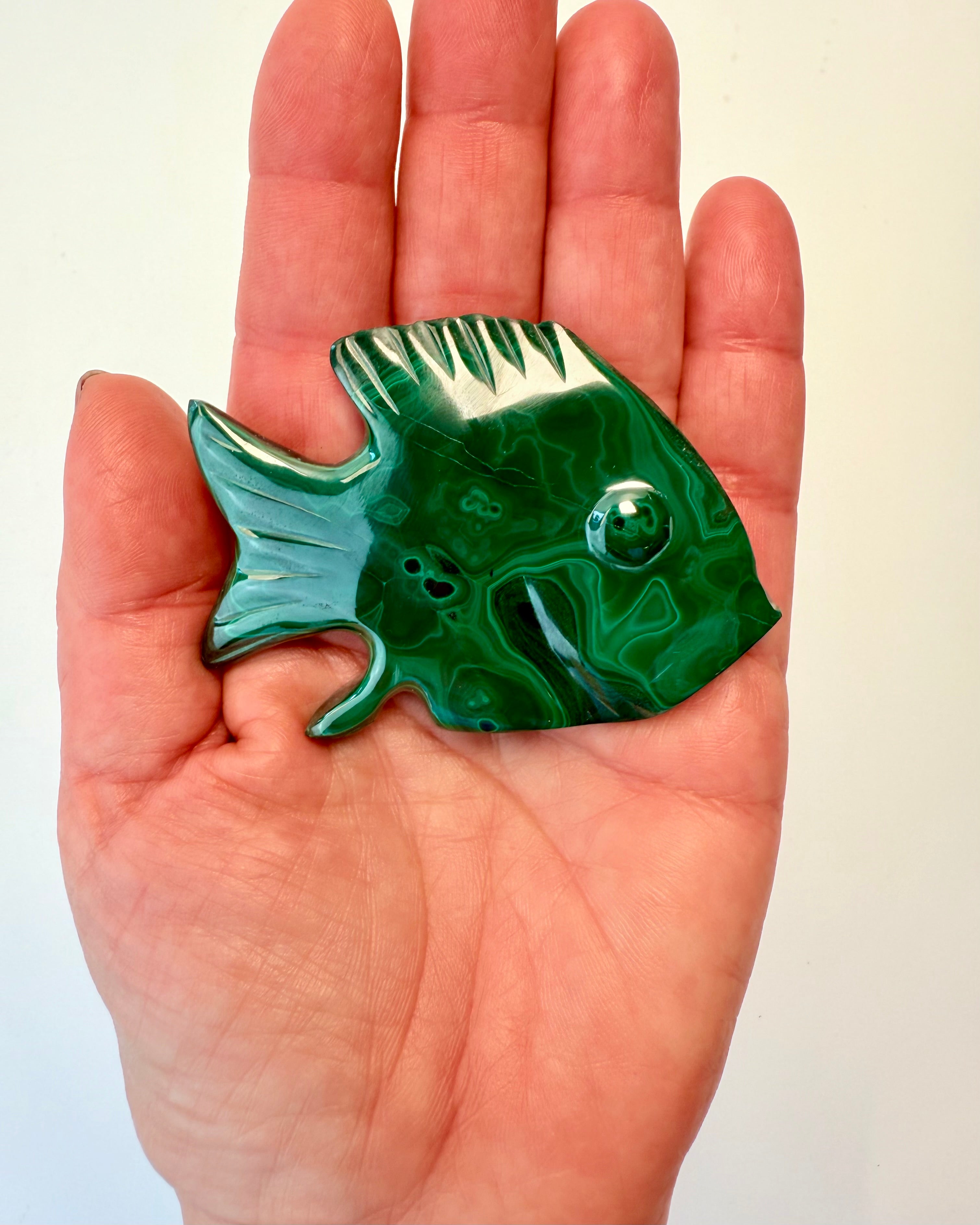 FLYDENDE ENERGI - FISK KRYSTAL 1 tilb