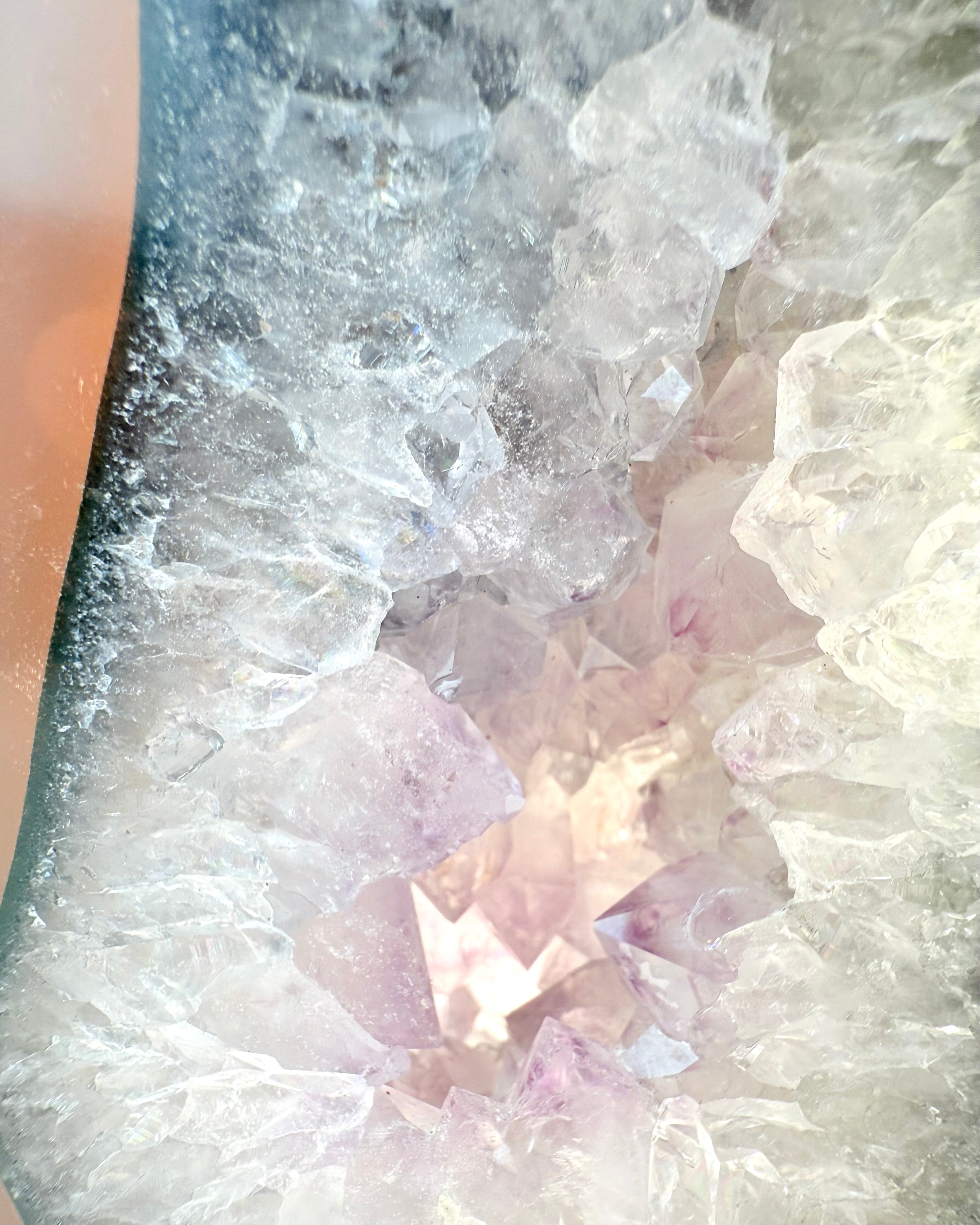 BEVAR FOKUS - KRYSTAL - UNIKA