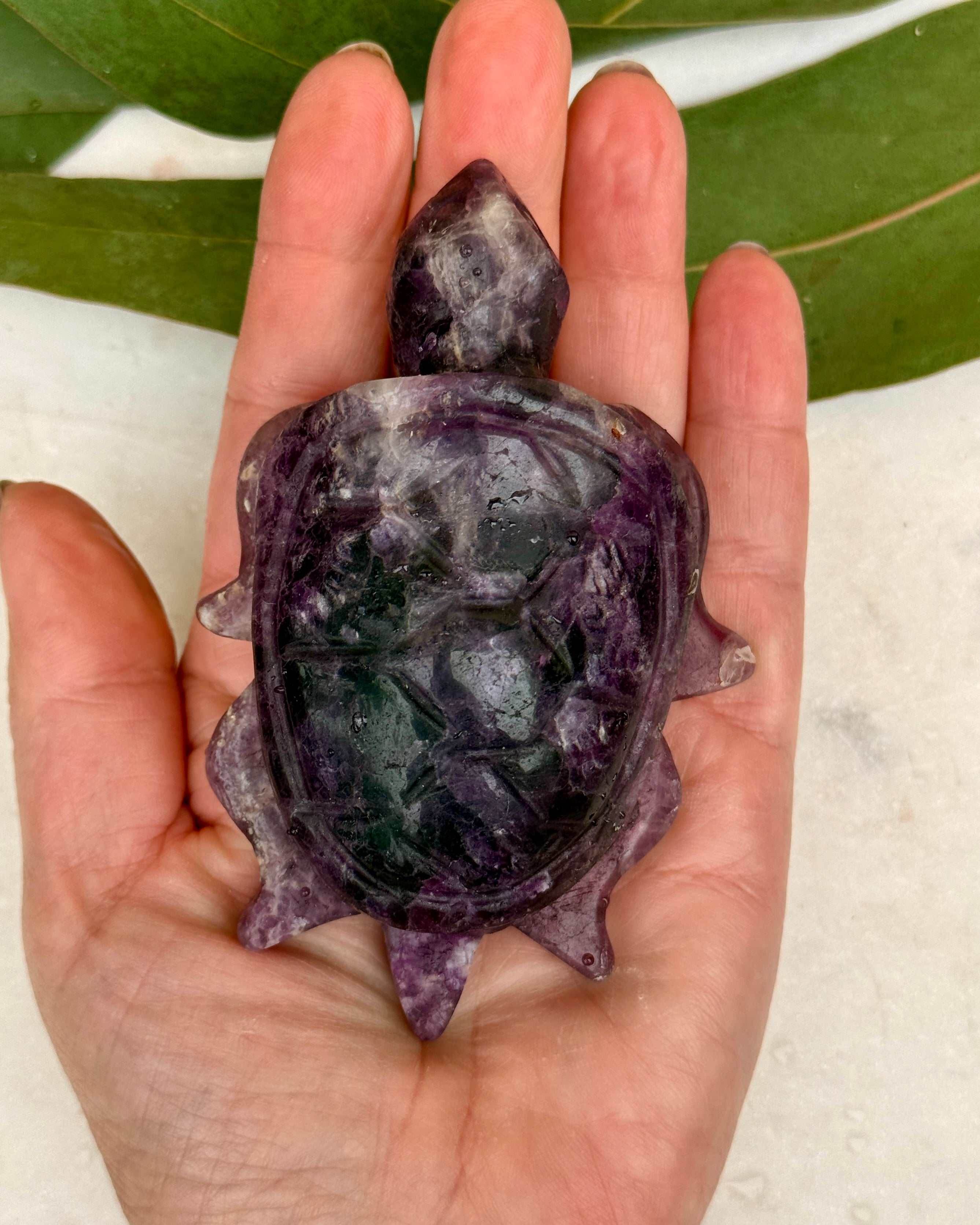 STRESS FRI ZONE - SKILPADDE - UNIKA