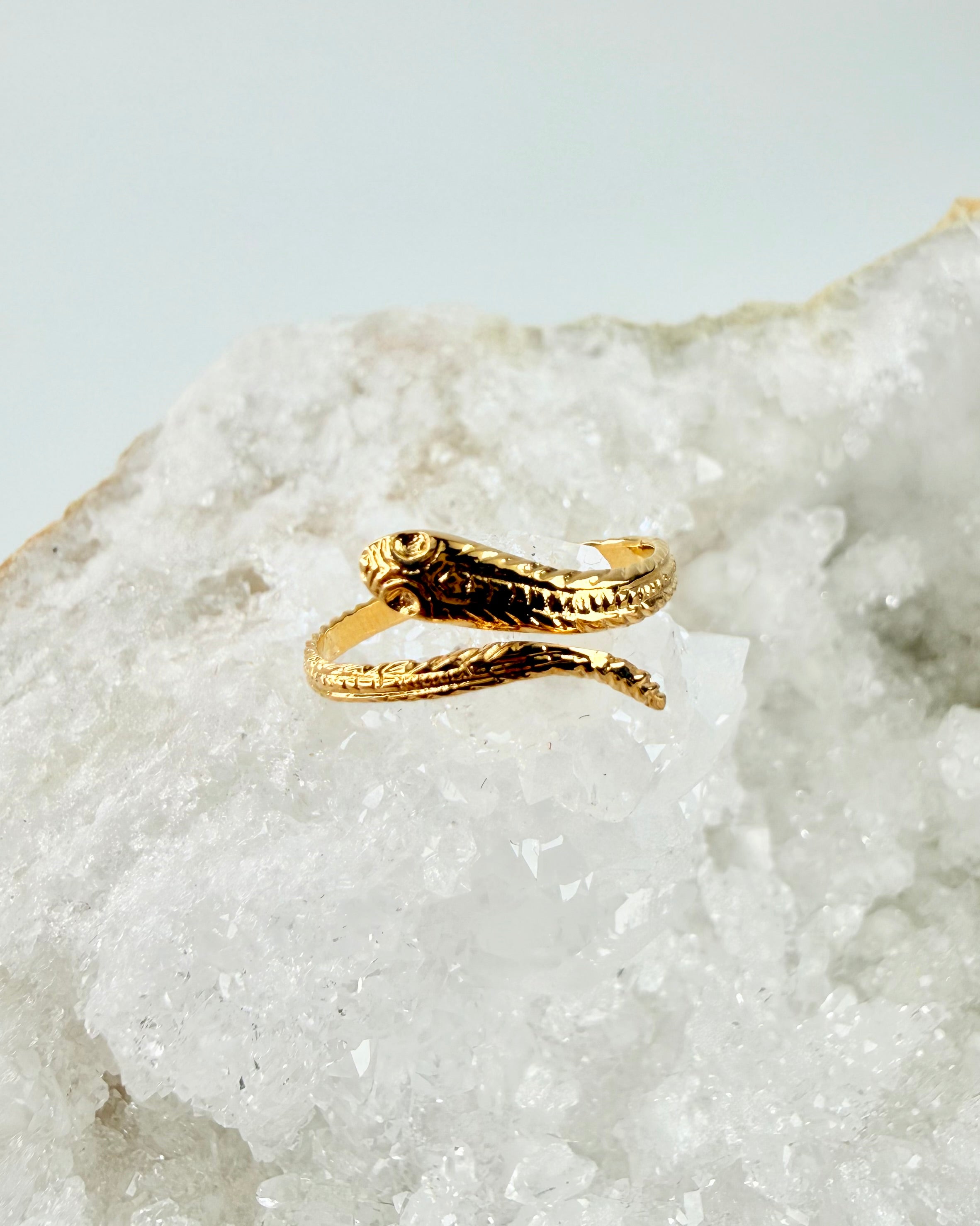 SLANGENS INSTINKT – RING 1 tilb