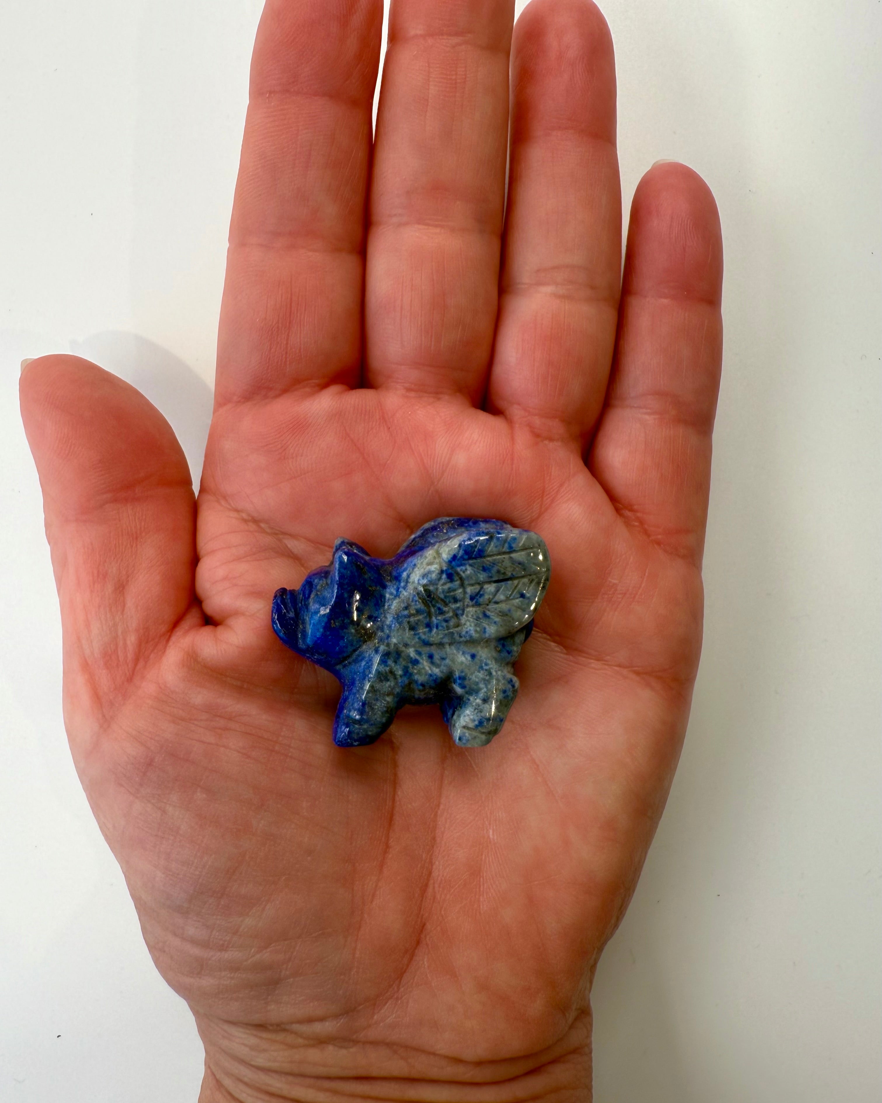 SEEK ADVENTURE - FLYVENDE GRIS - KRYSTAL