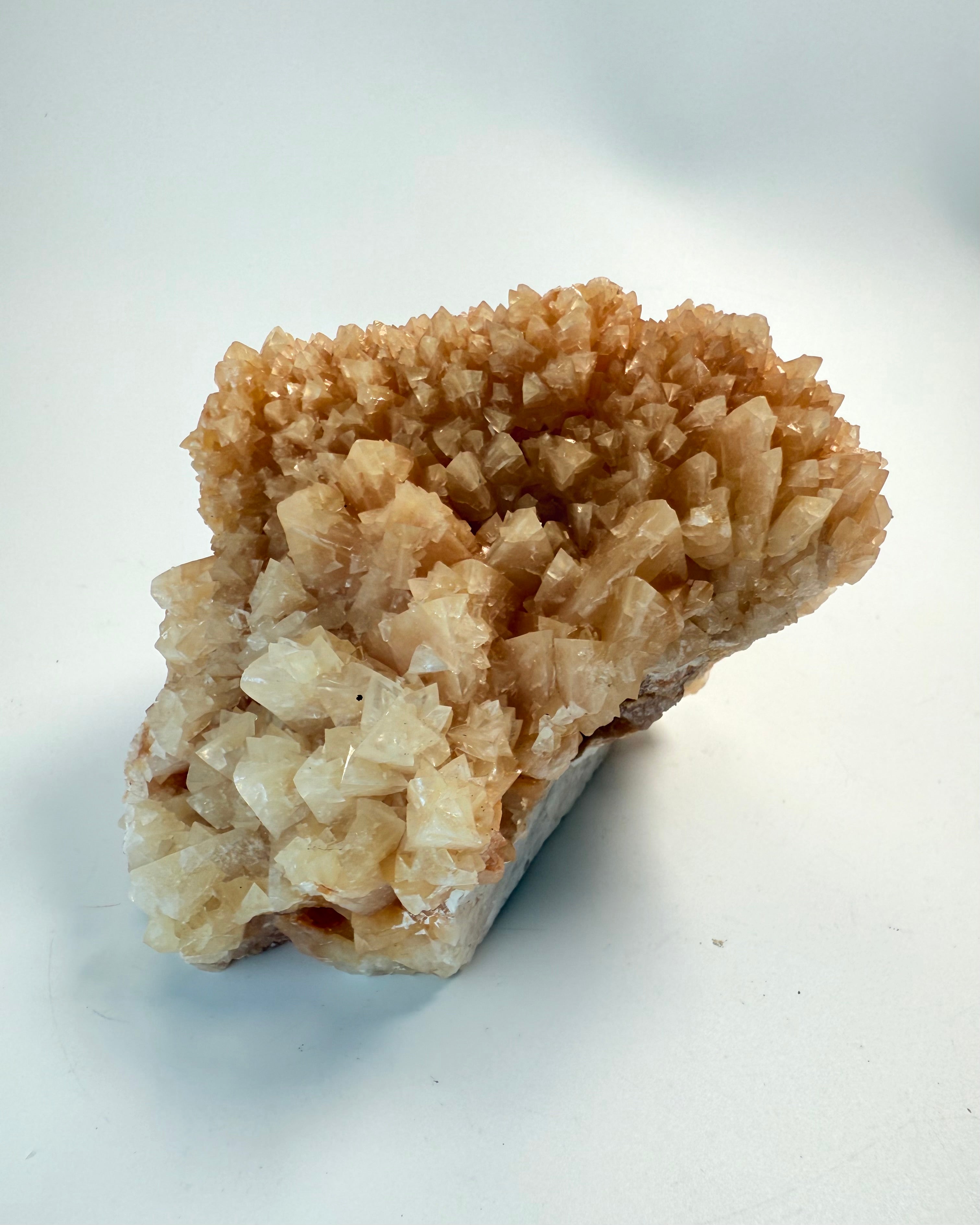 DEN SUVERÆNE OPLØFTNING - KRYSTAL - UNIKA