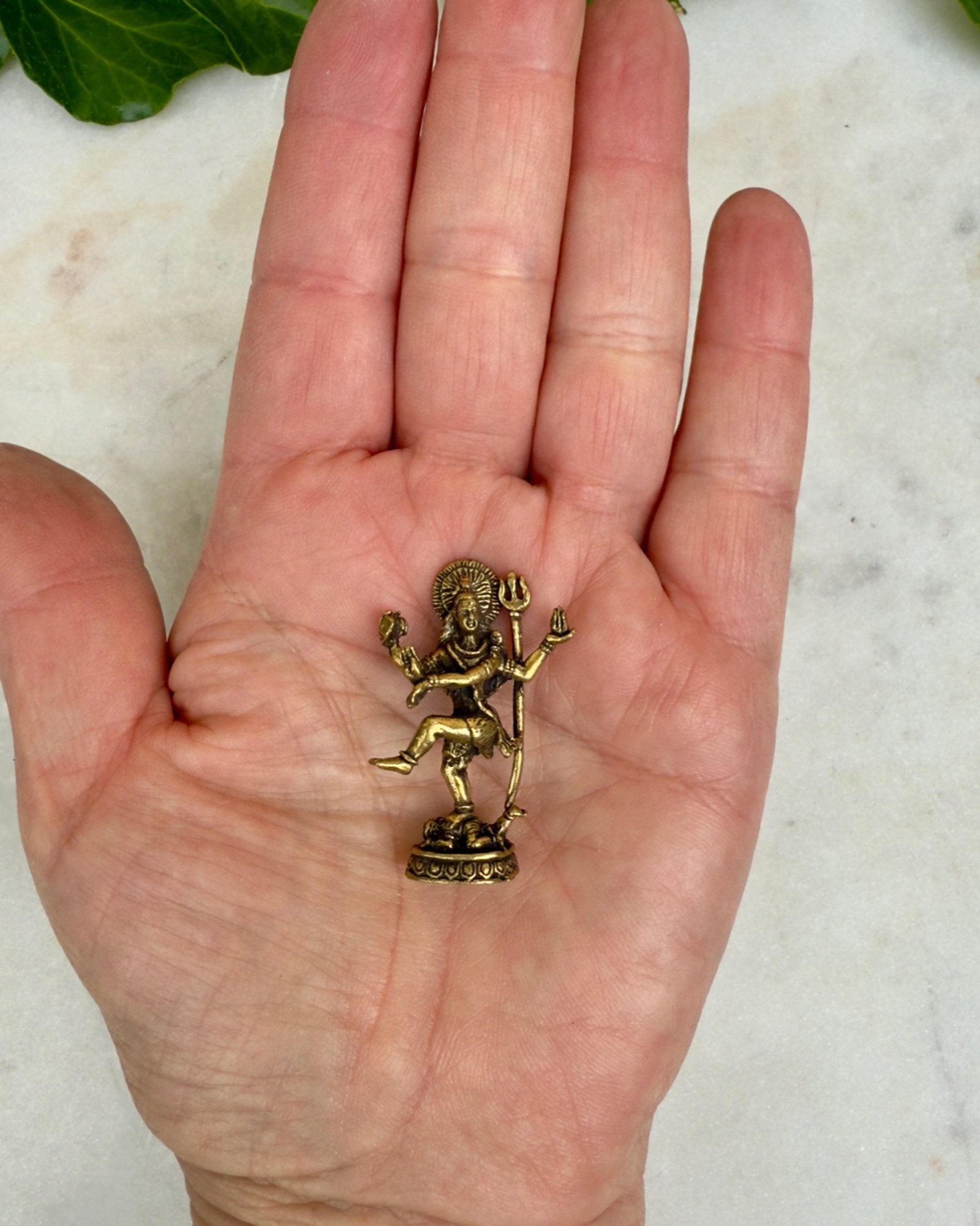 DIN UDVIKLINGSREJSE - FIGUR