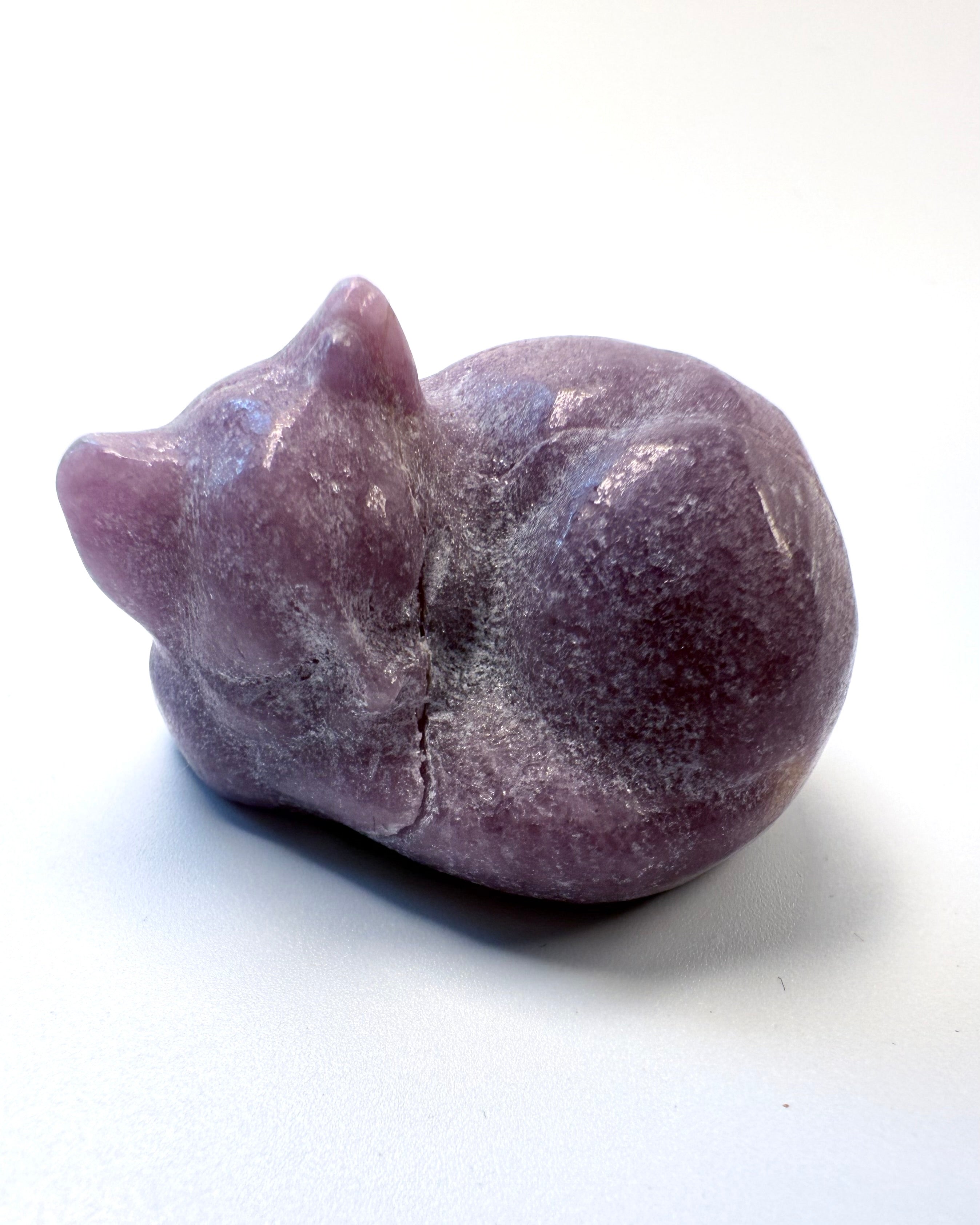 AT TURDE GÅ SINE EGNE VEJE - KAT 1 tilb