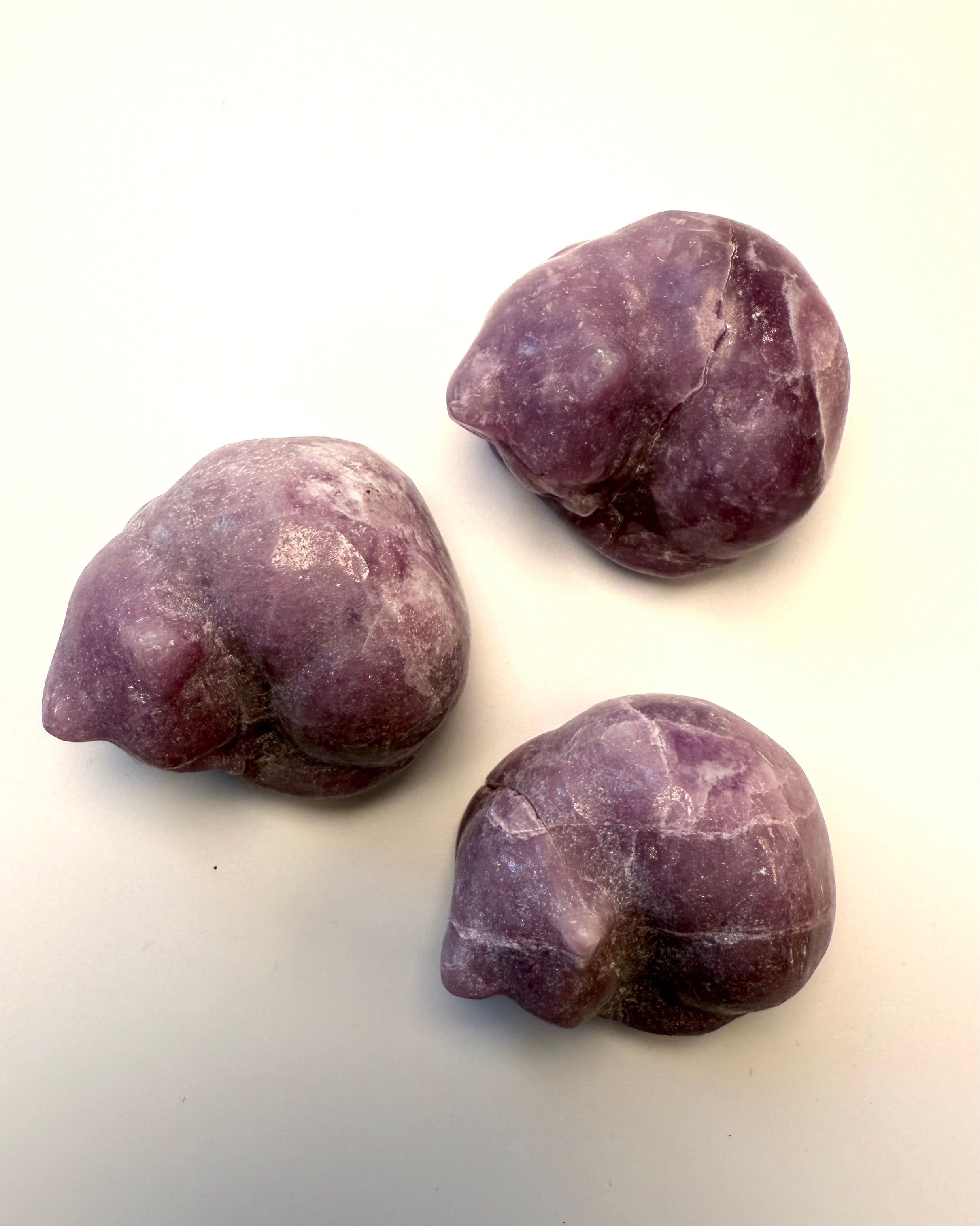 AT TURDE GÅ SINE EGNE VEJE - KAT 1 tilb