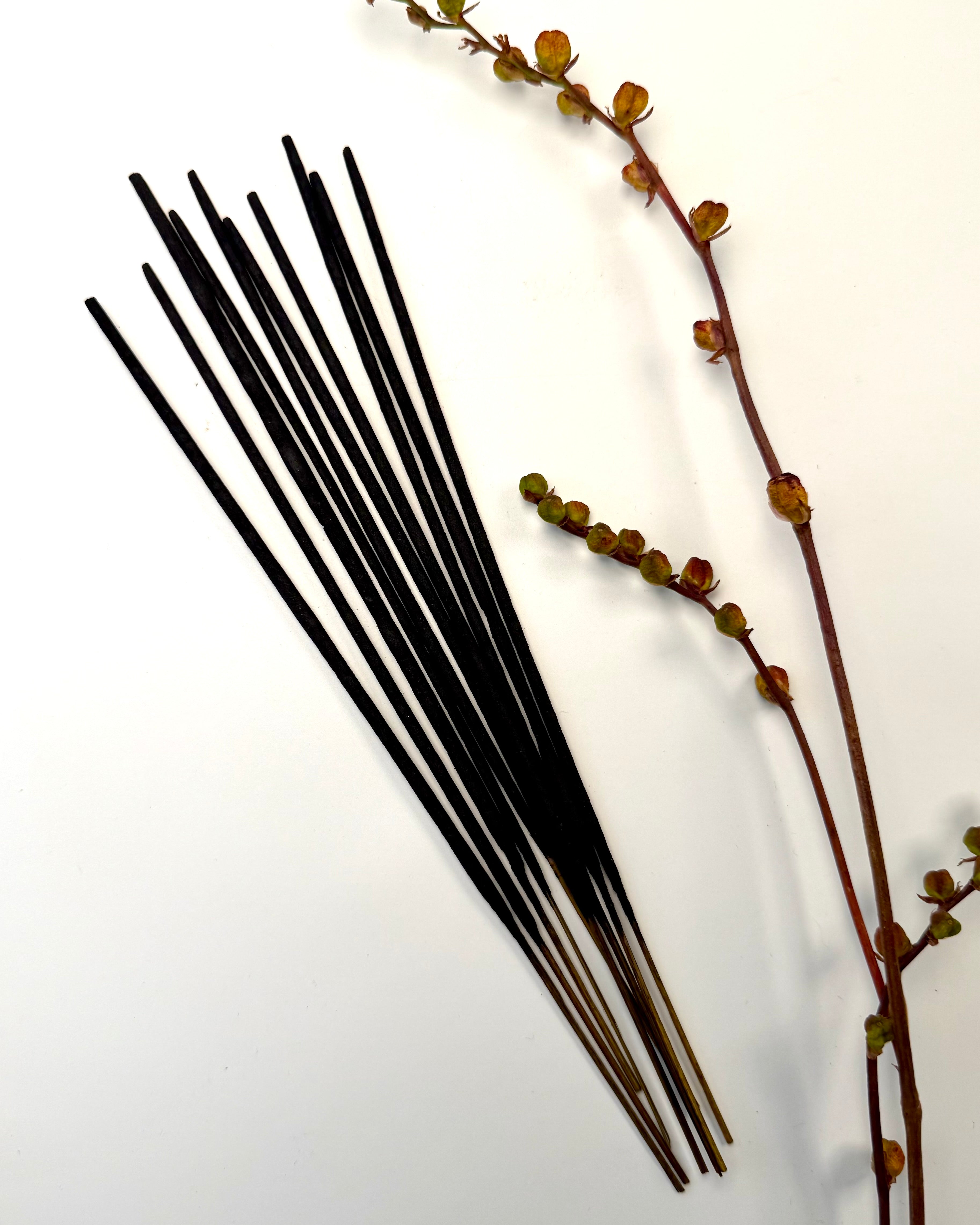 PAY ATTENTION - RØGELSE