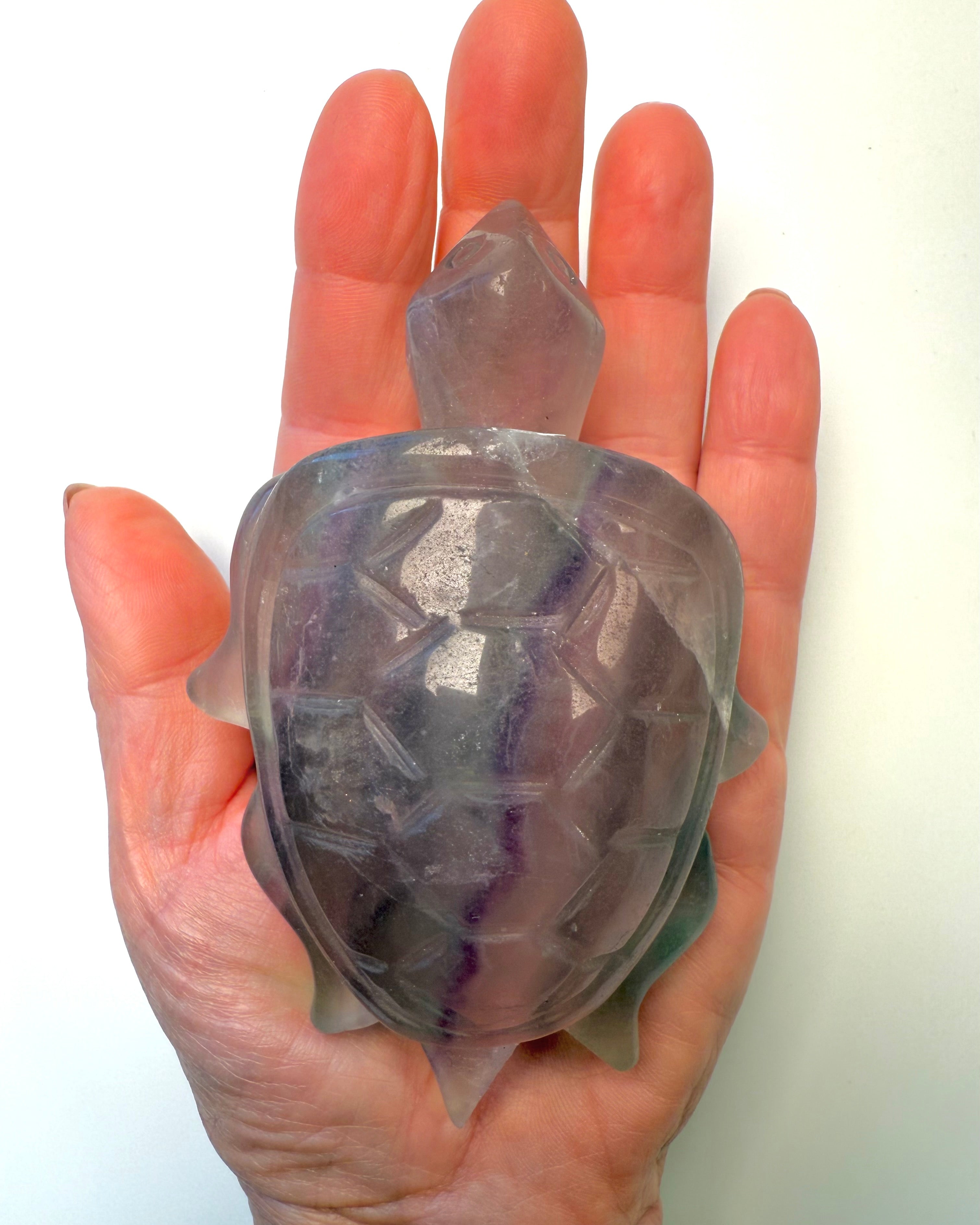 IND TIL KERNEN - SKILDPADDE