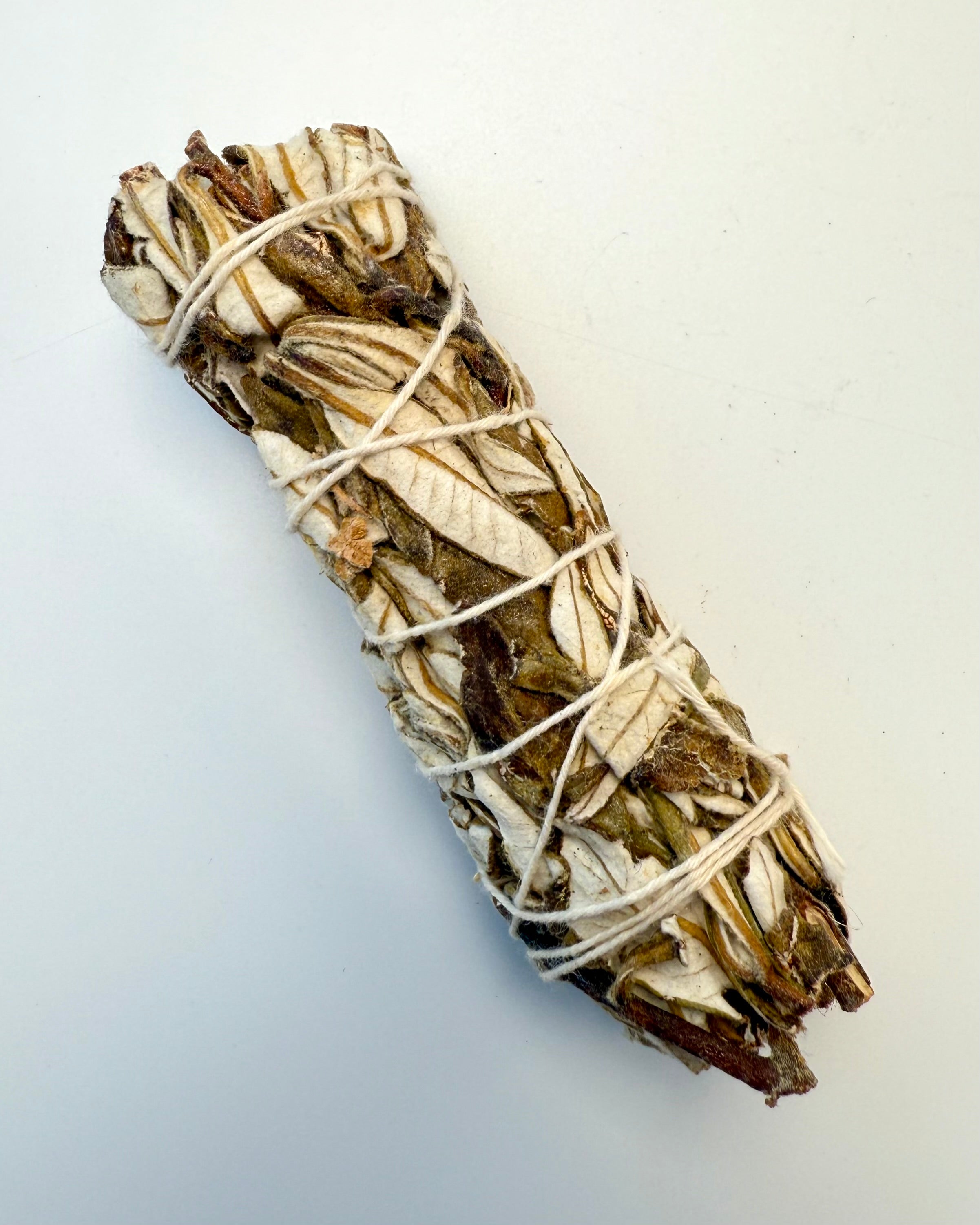 SHAMAN'S INSIGHT - RØGELSE