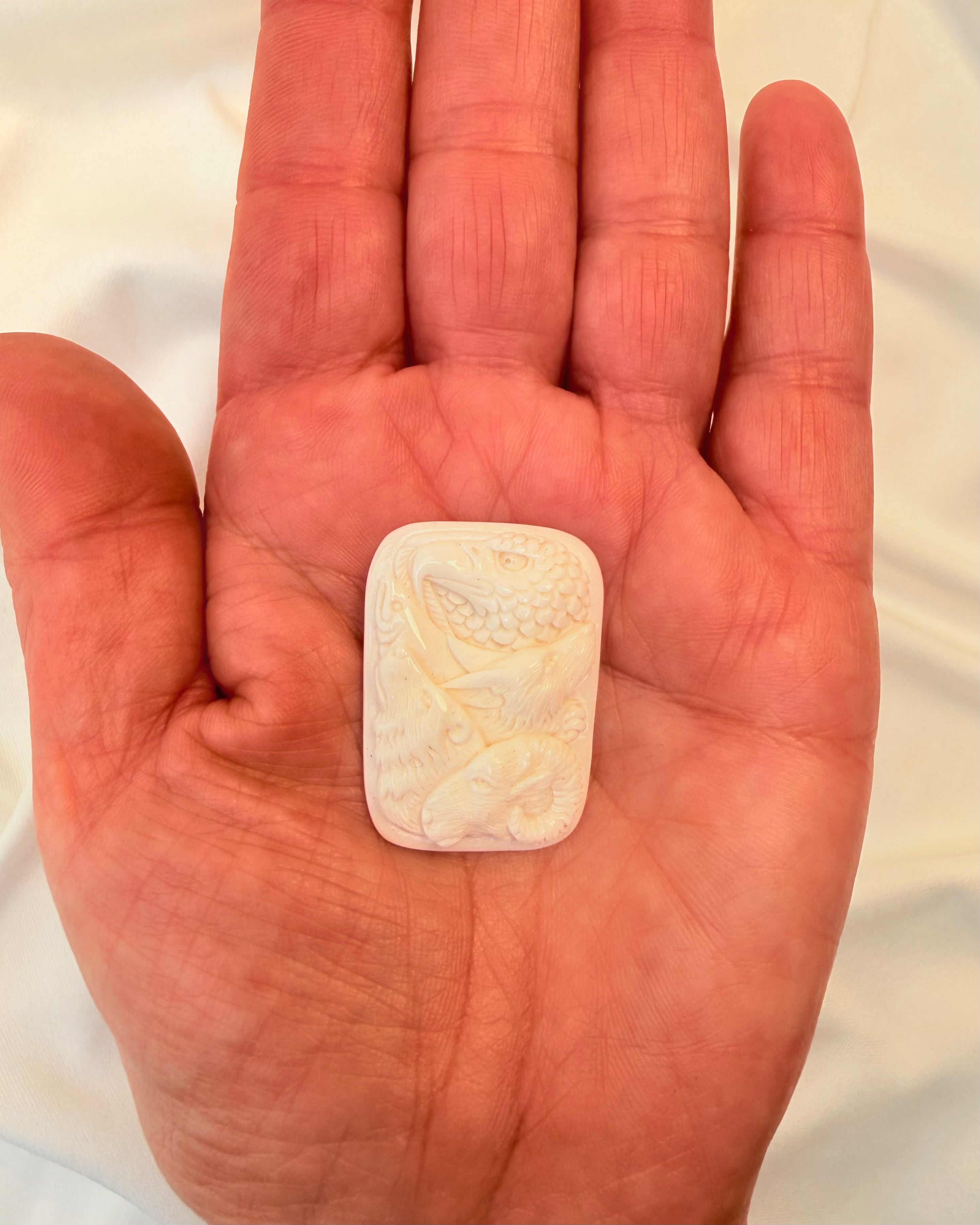 KRAFTDYRENES SAMARBEJDE - AMULET